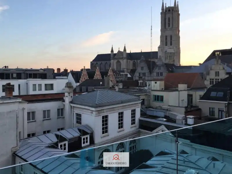 Zalige exclusieve penthouse met zuidgericht terras en uniek zicht op de torens! foto 3