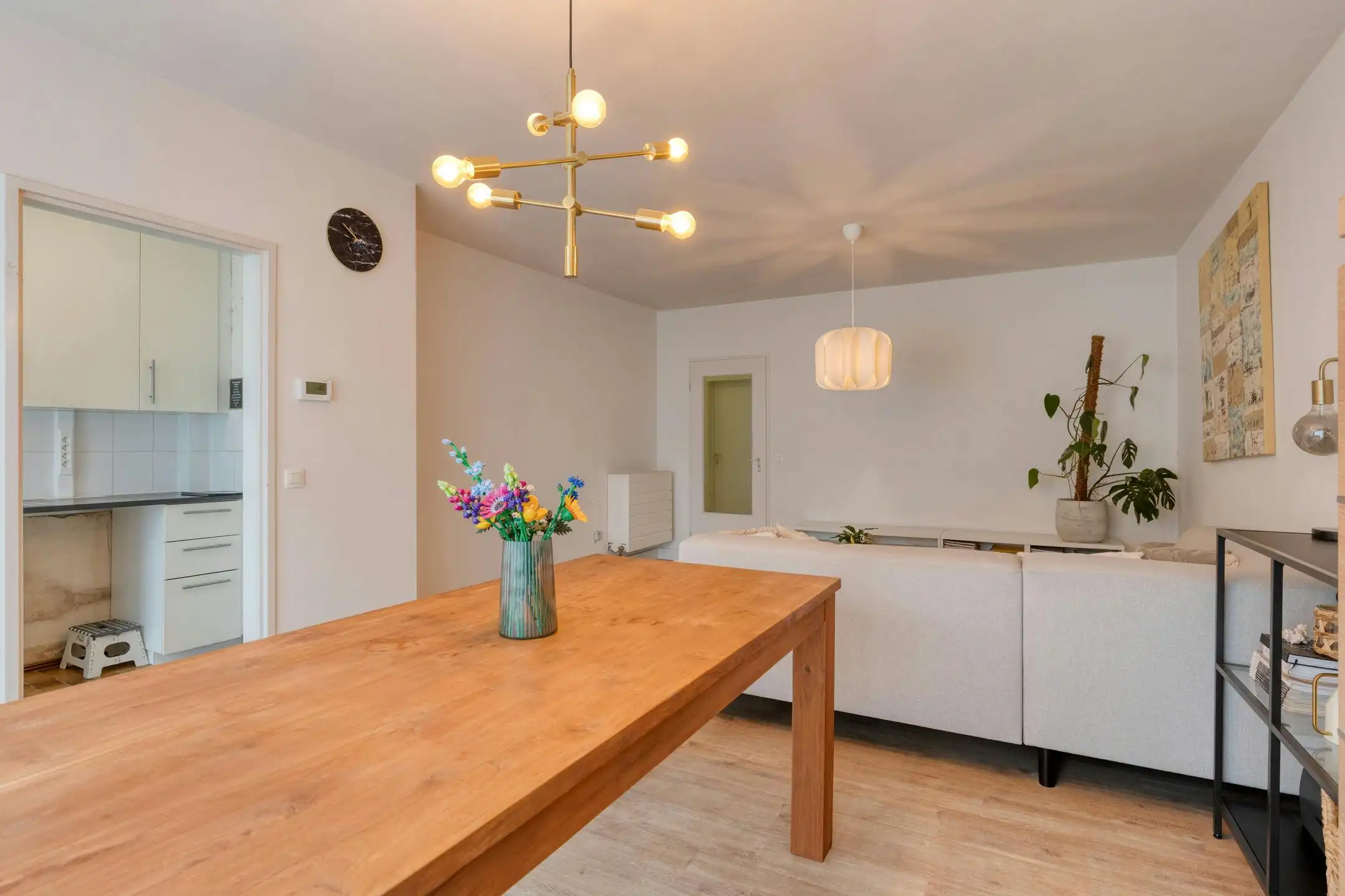 Gelijkvloers appartement met ZW-tuin en garage te koop foto 3