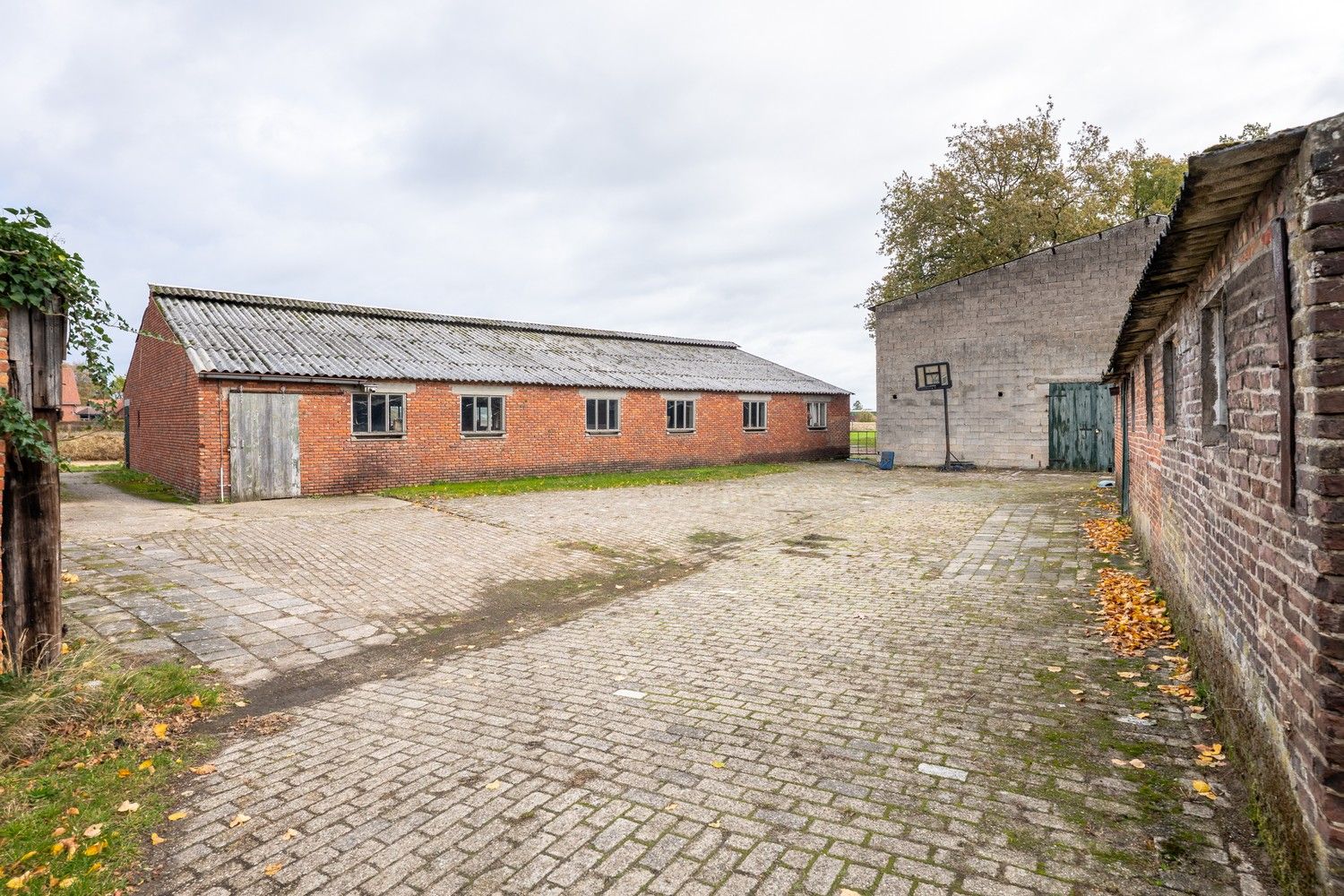 Charmante gerenoveerde woning met aanpalende schuur en 3 aparte bijgebouwen op 28a49 in Achel foto 34