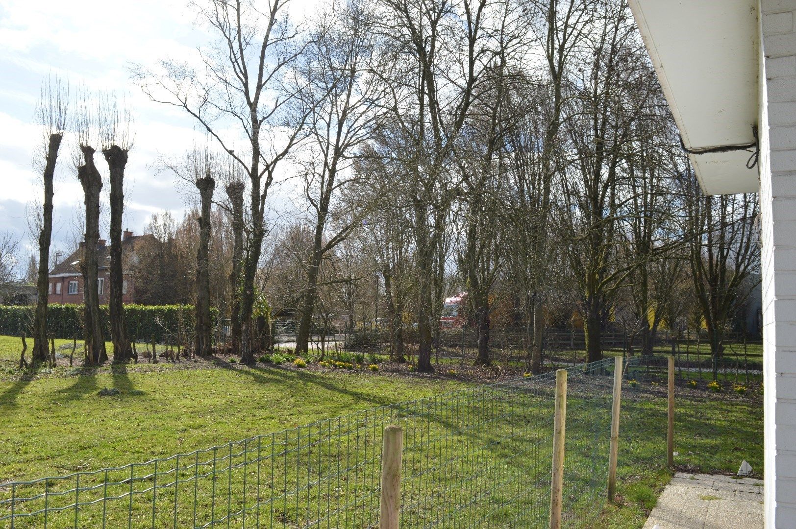 Ruime gelijkvloerse villa in een oase van groen en goeie bereikbaarheid foto 17