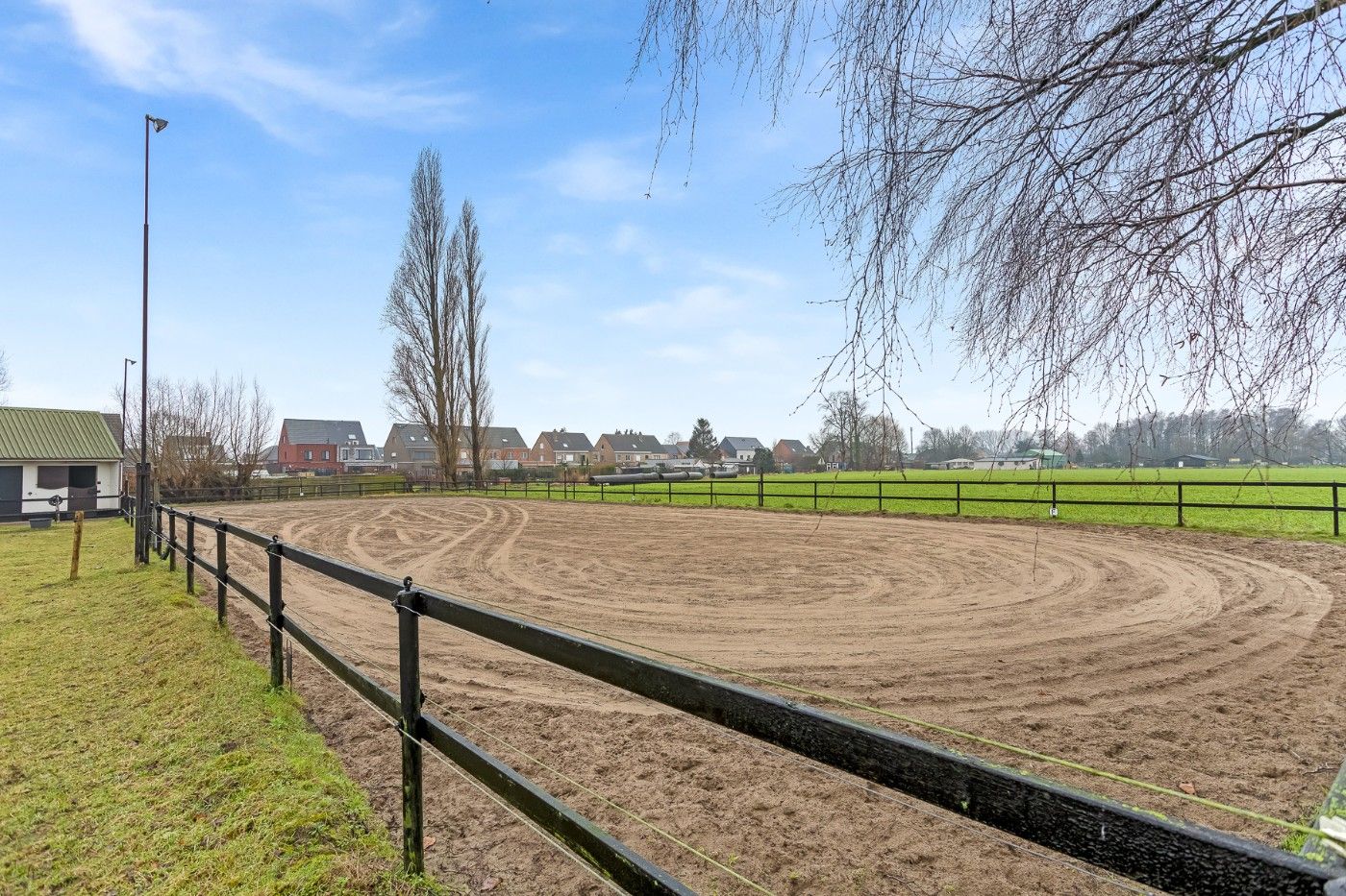 Mooi stuk weiland met 4 paardenstallen en rijpiste van ruim 1,5 hectare te koop in Hoevenen foto 4