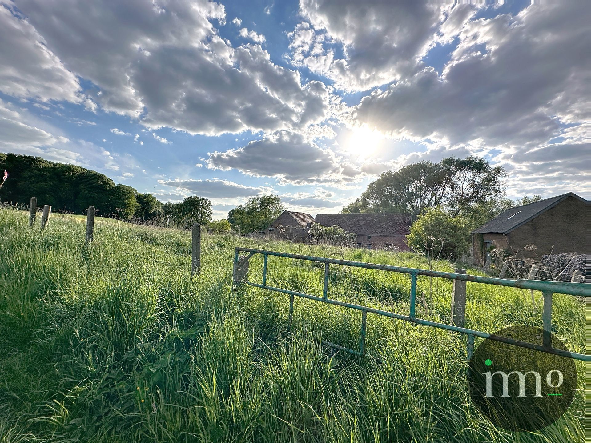 ***TOPLOCATIE***  Boerderijtje omgeven door weilanden foto 22