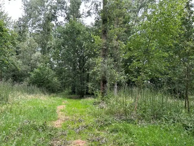 Bosgrond te koop gelegen De Potters te Herselt foto 6