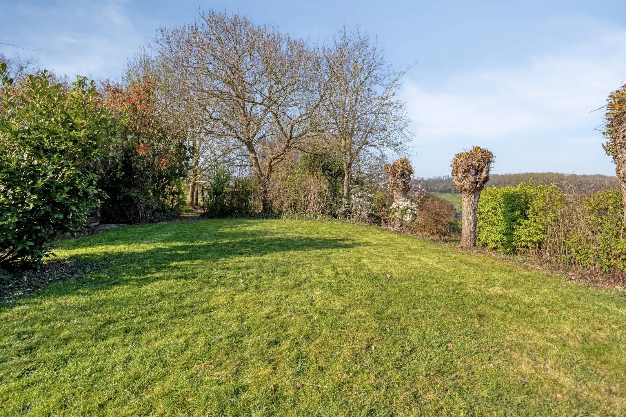 Ongezien uitzicht in het zicht: karaktervol wonen foto 28