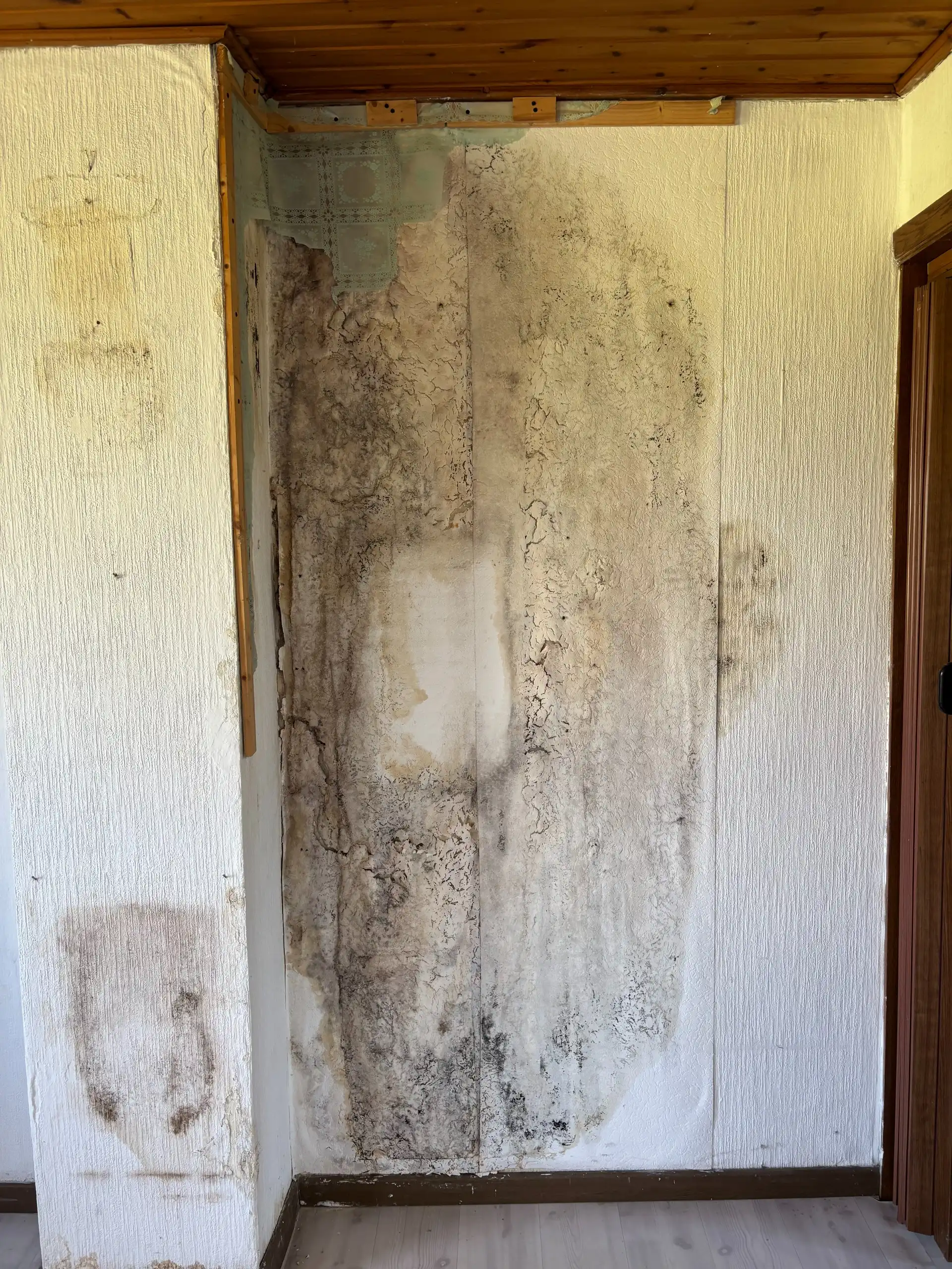 VOLLEDIG TE STRIPPEN WONING foto 25