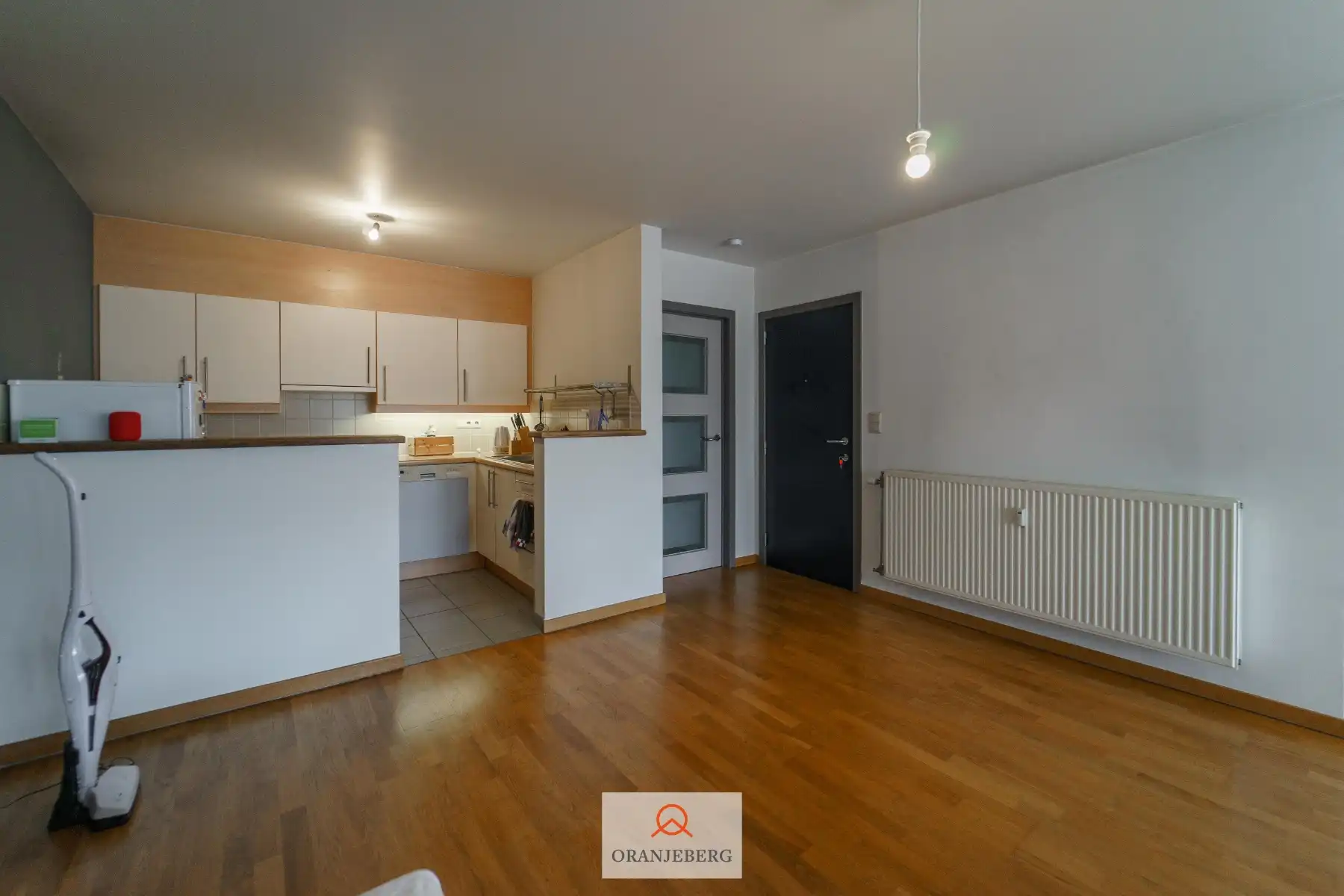 1- slaapkamerappartement nabij centrum Gent foto 13
