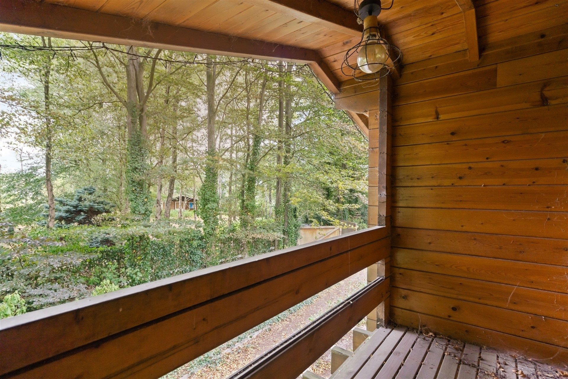 Ruime vakantiewoning  foto 25