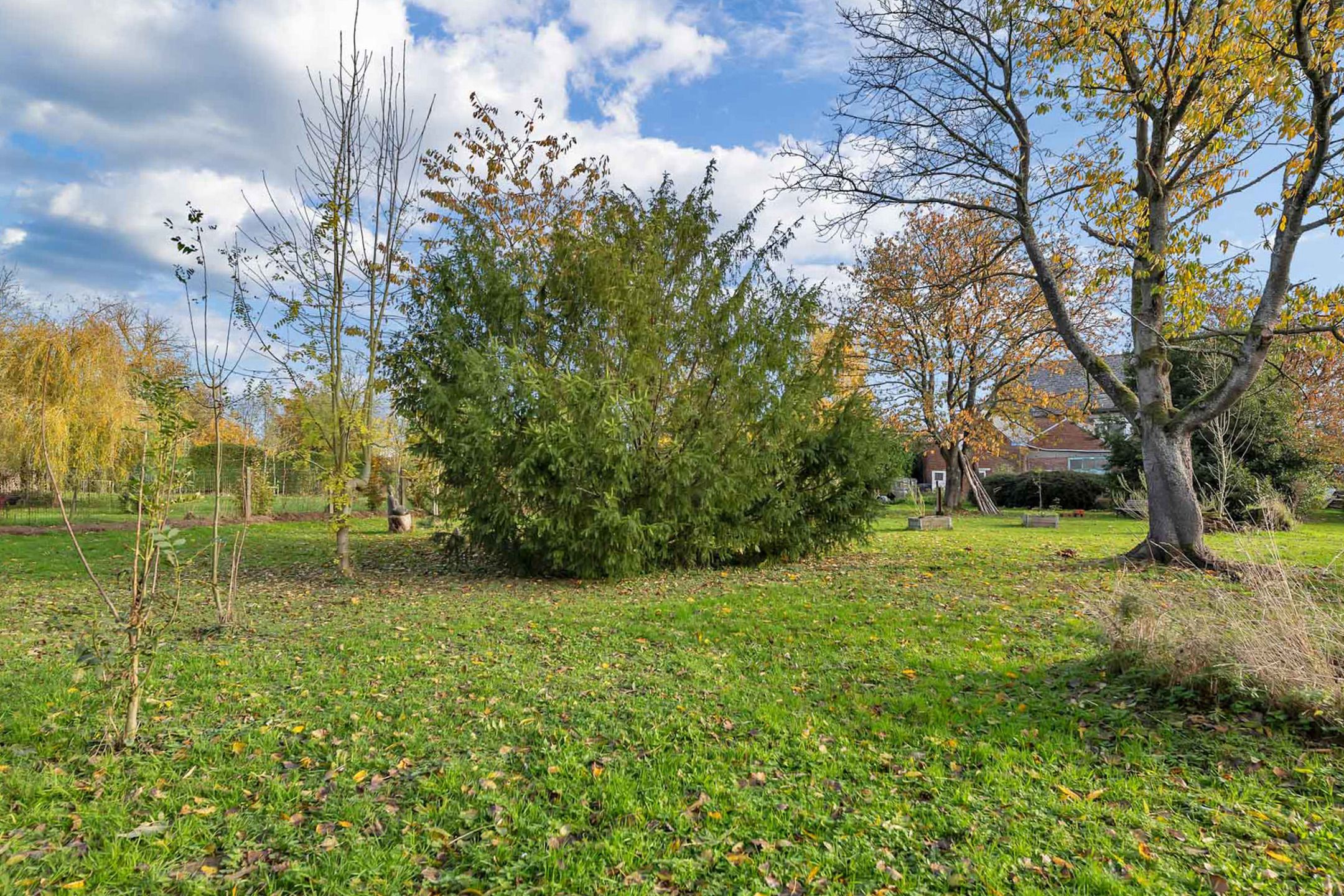 Woning met loods en 510 m² bewoonbare oppervlakte in Velzeke foto 34