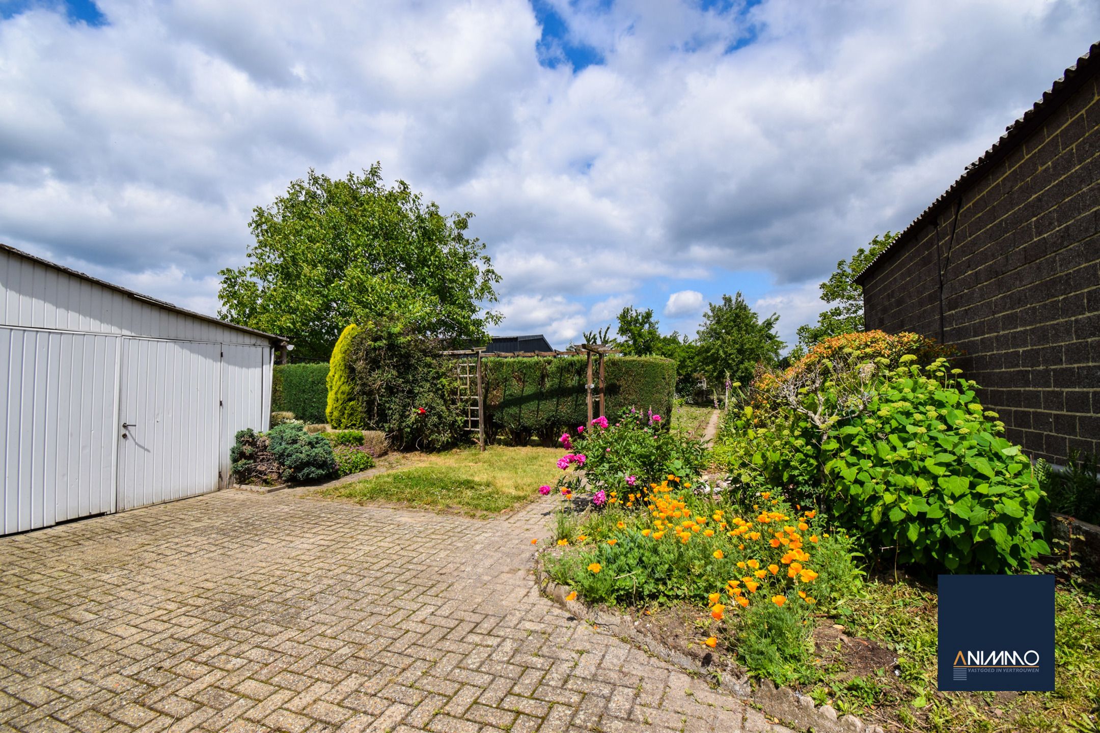 Huis te koop foto 6