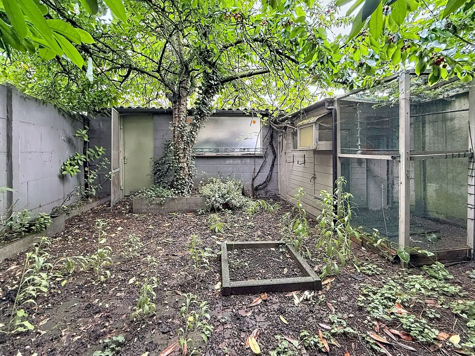 Te renoveren halfopen bebouwing, 4 slpks, garage en tuin foto 4