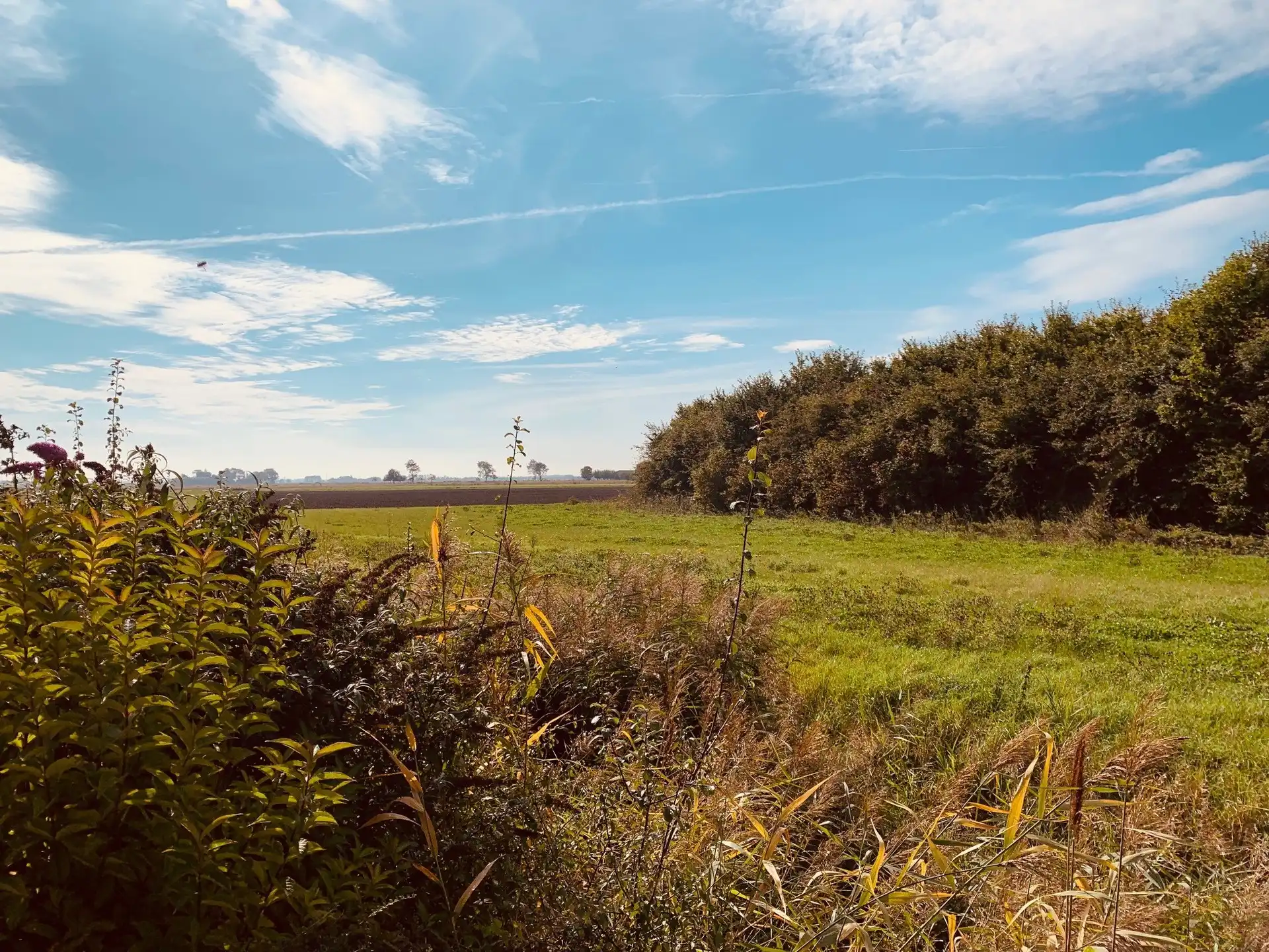 Charmante gerenoveerde visserswoning met zongerichte tuin en open zicht op de polders 🌾 foto 10