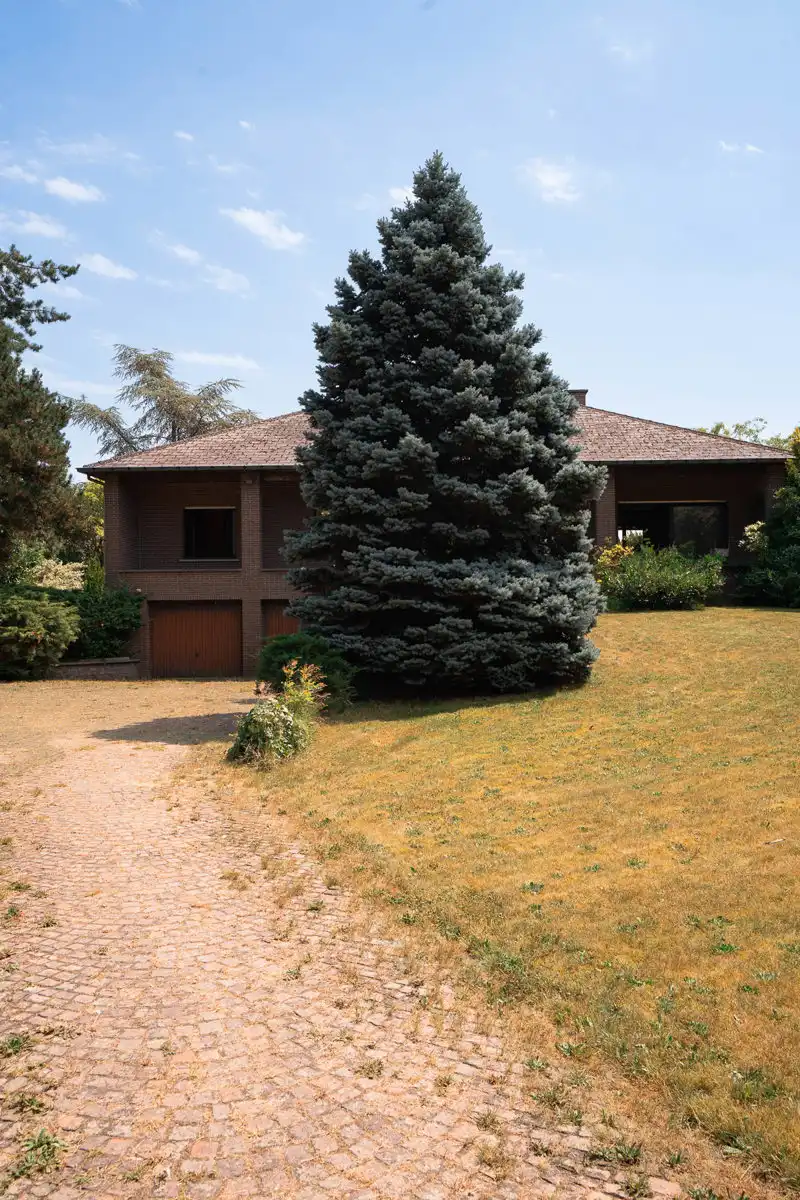 Prachtige renovatiewoning met zeldzame groene ligging foto 40