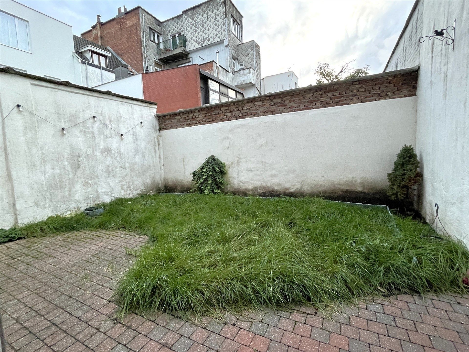 Gezellig appartement met 1 slaapkamer en tuin! foto 11