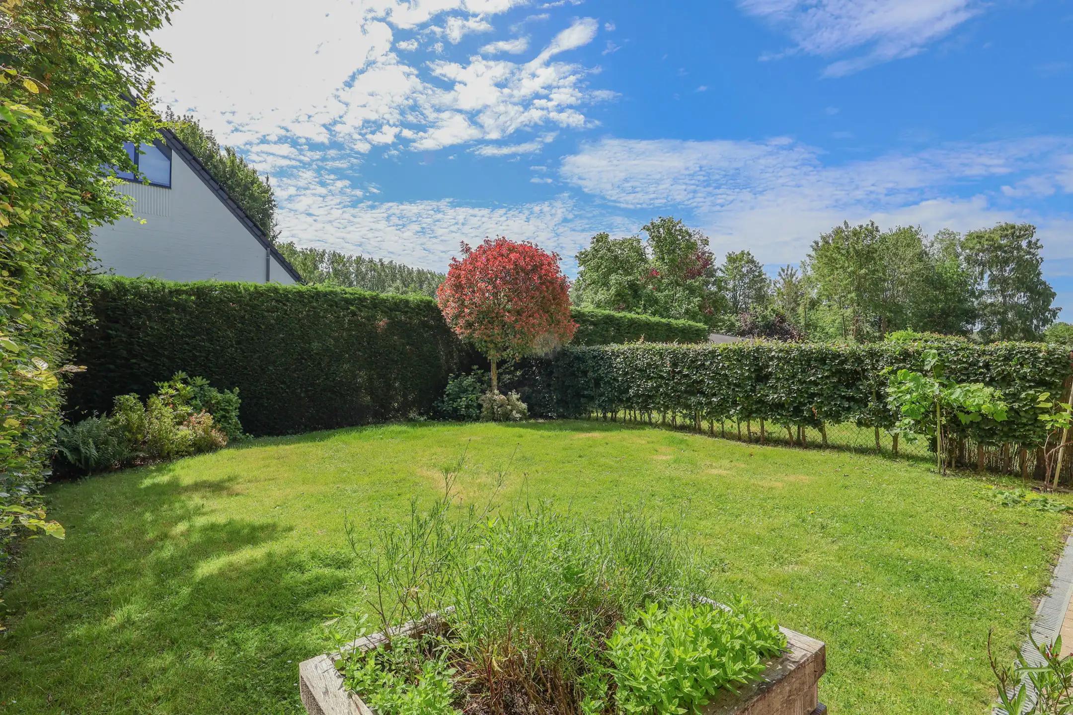 Huis te koop foto 27