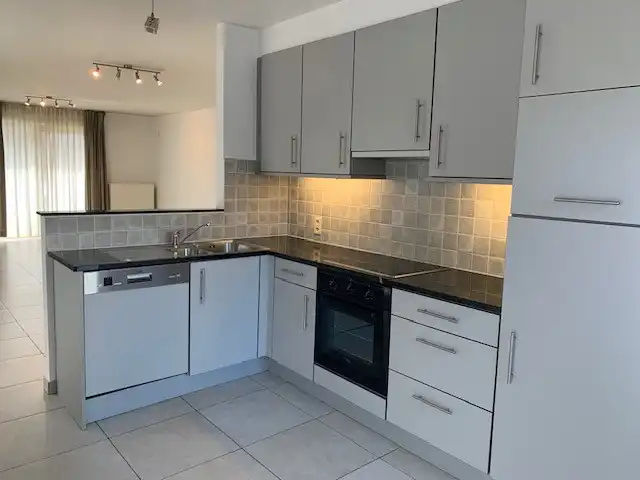 Zeer ruim, gezellig ingericht en lichtrijk appartement foto 9