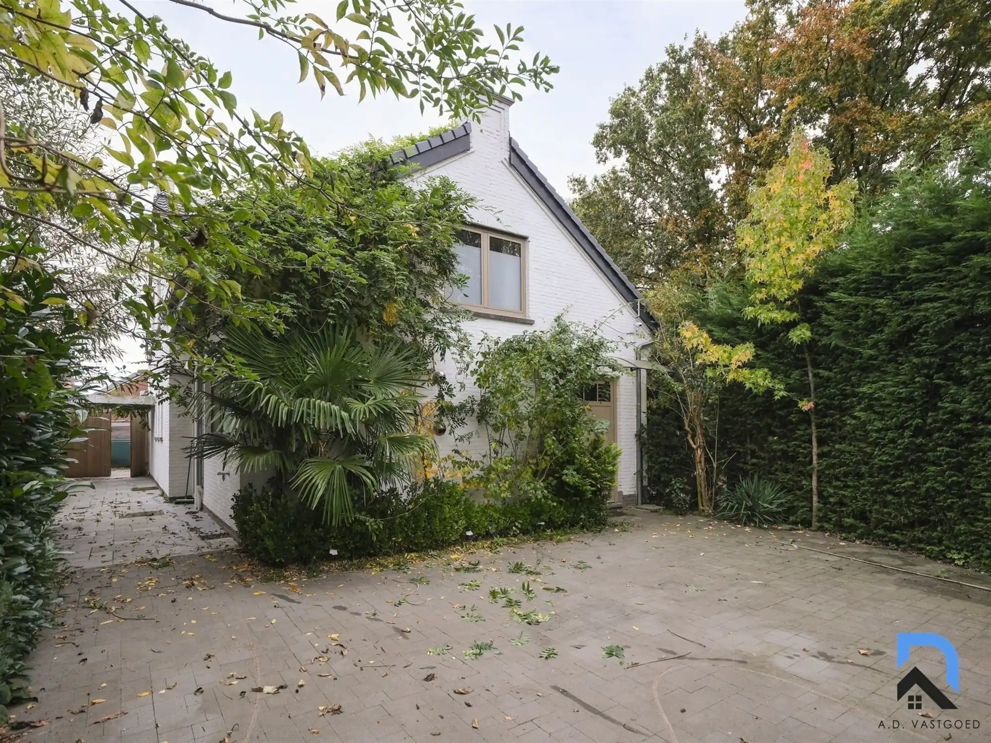 Ruime vrijstaande woning in Eigenbilzen foto {{pictureIndex}}