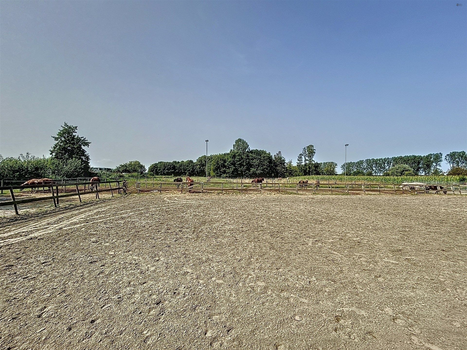 PRACHTIG GELEGEN HOEVE met bijgebouw, paardenstallen, binnenpiste en weiden op 18.385m² foto 5