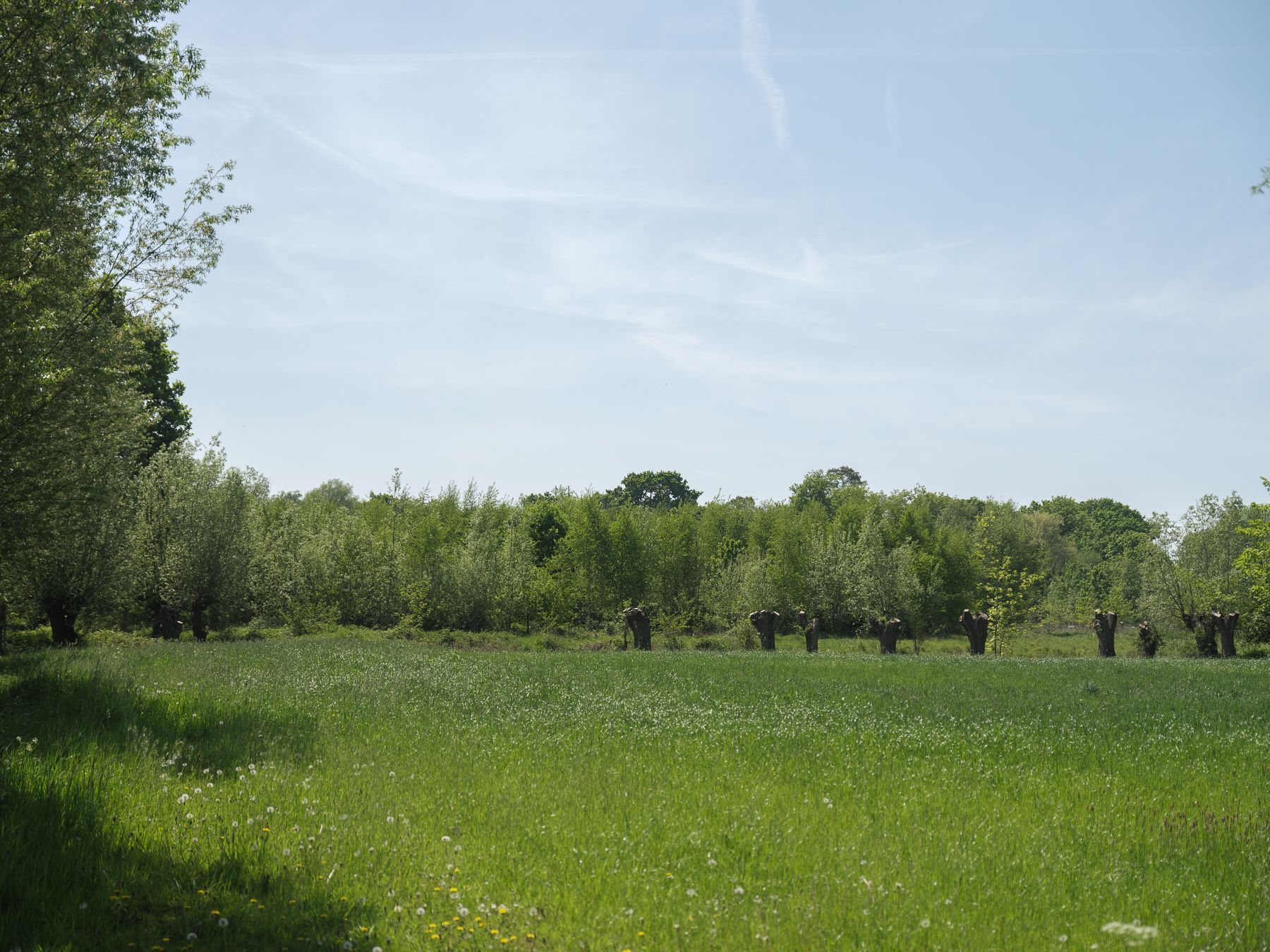 Charmante woning met zonnige tuin in het groene Drongen foto 27