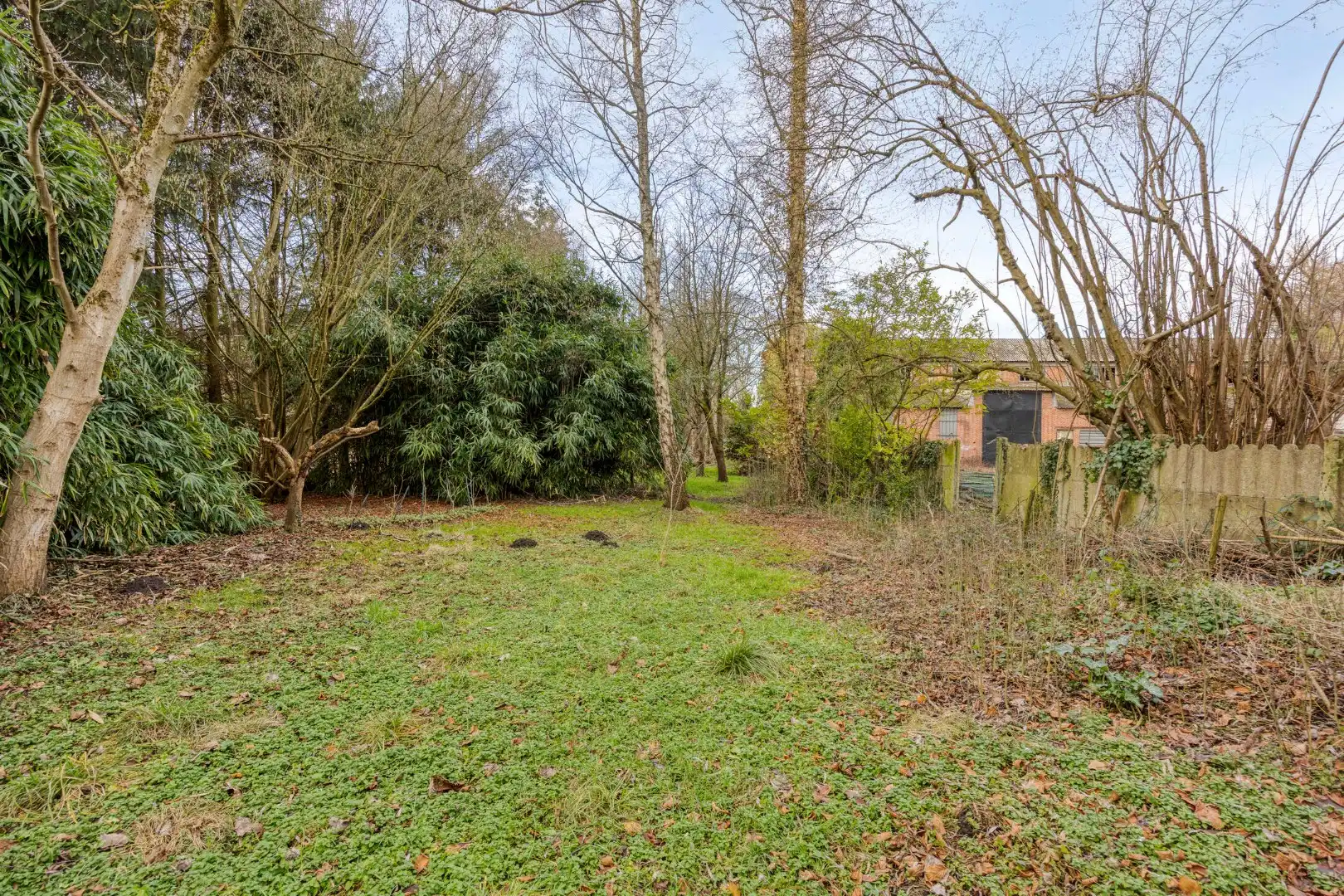 Ruime, instapklare woning met prachtig karakter en unieke tuin (29a40ca) !  foto 35