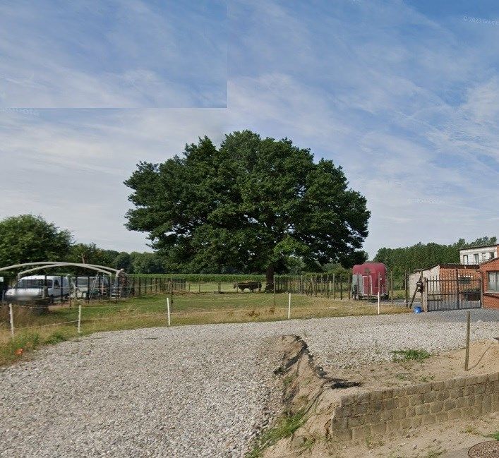 bouwgrond te koop Verdaelstraat 120 te Geetbets foto {{pictureIndex}}