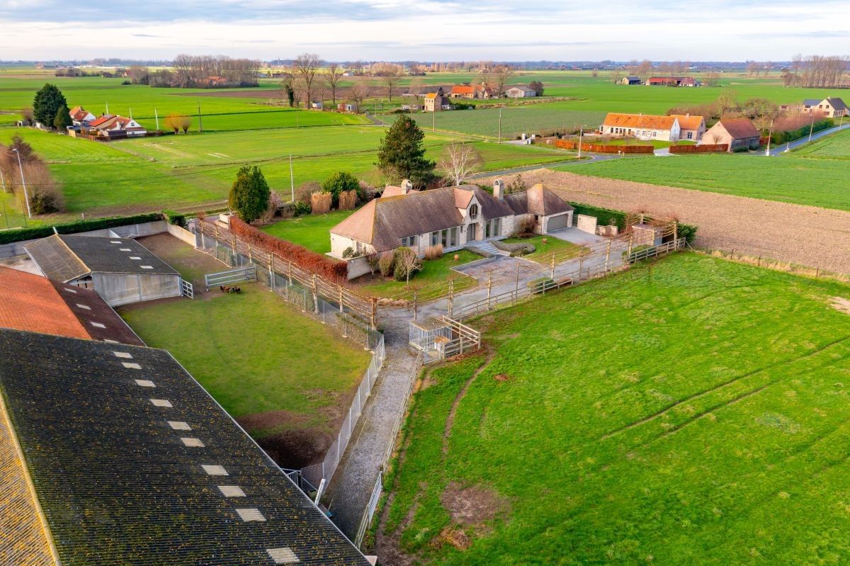 Vleesveebedrijf te koop op 5,85 ha te Alveringem foto 5