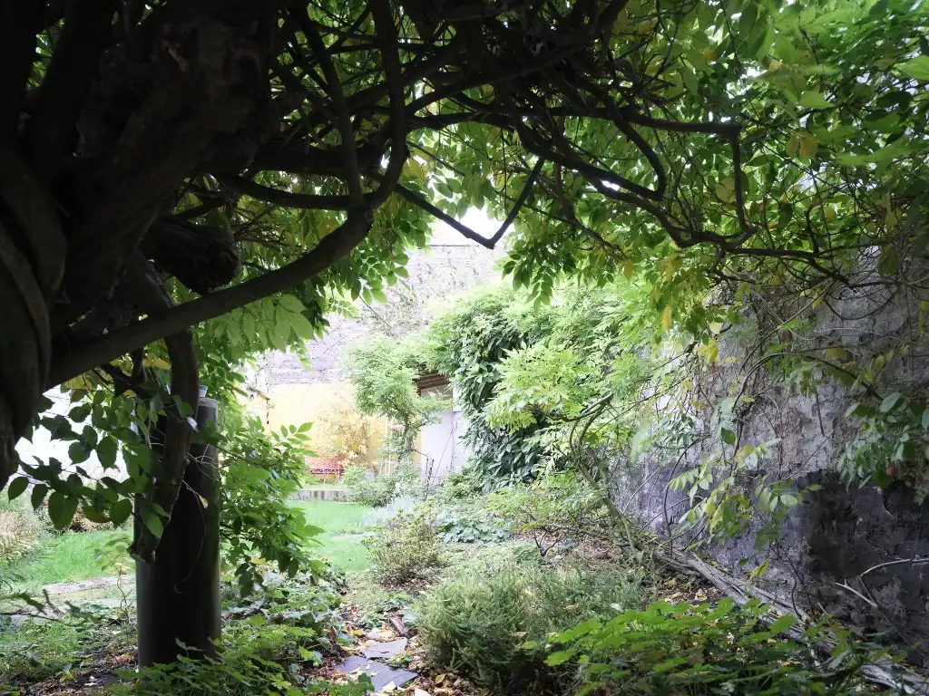 Te renoveren handelshuis (266 m²) met stadstuin. Wonen en werken in het centrum van Gent. foto 7