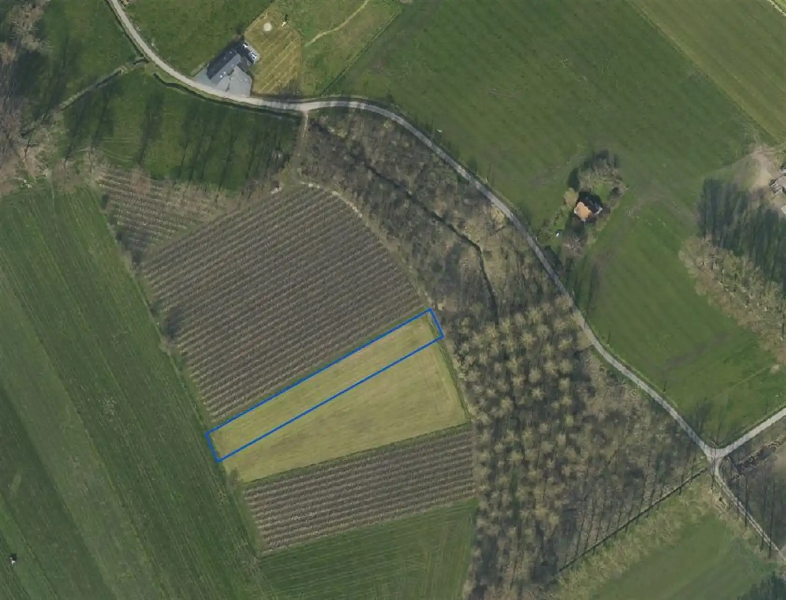 6 Landbouwgronden gelegen in Gooik foto 5