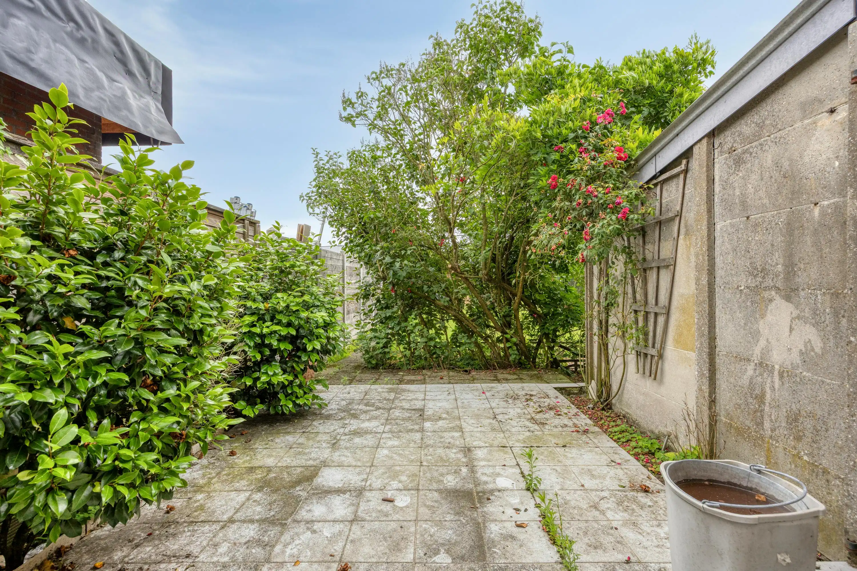 Te renoveren woning te koop in Wuustwezel! foto 27
