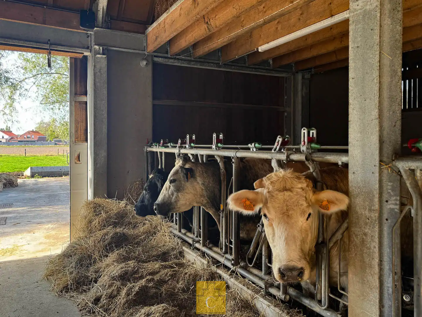 Boerderij met nieuwbouwloods (+400M2) en woning op 11.776 m² foto 13