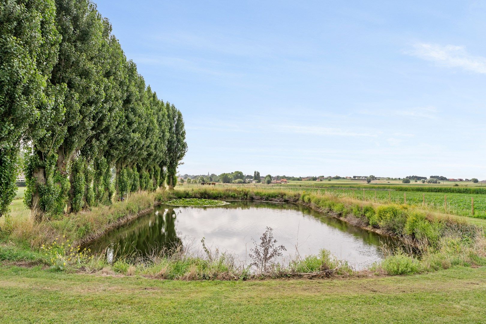 Landelijke woning met ruime loods en grote verzorgde tuin in Moorslede/Slypskapelle foto 12