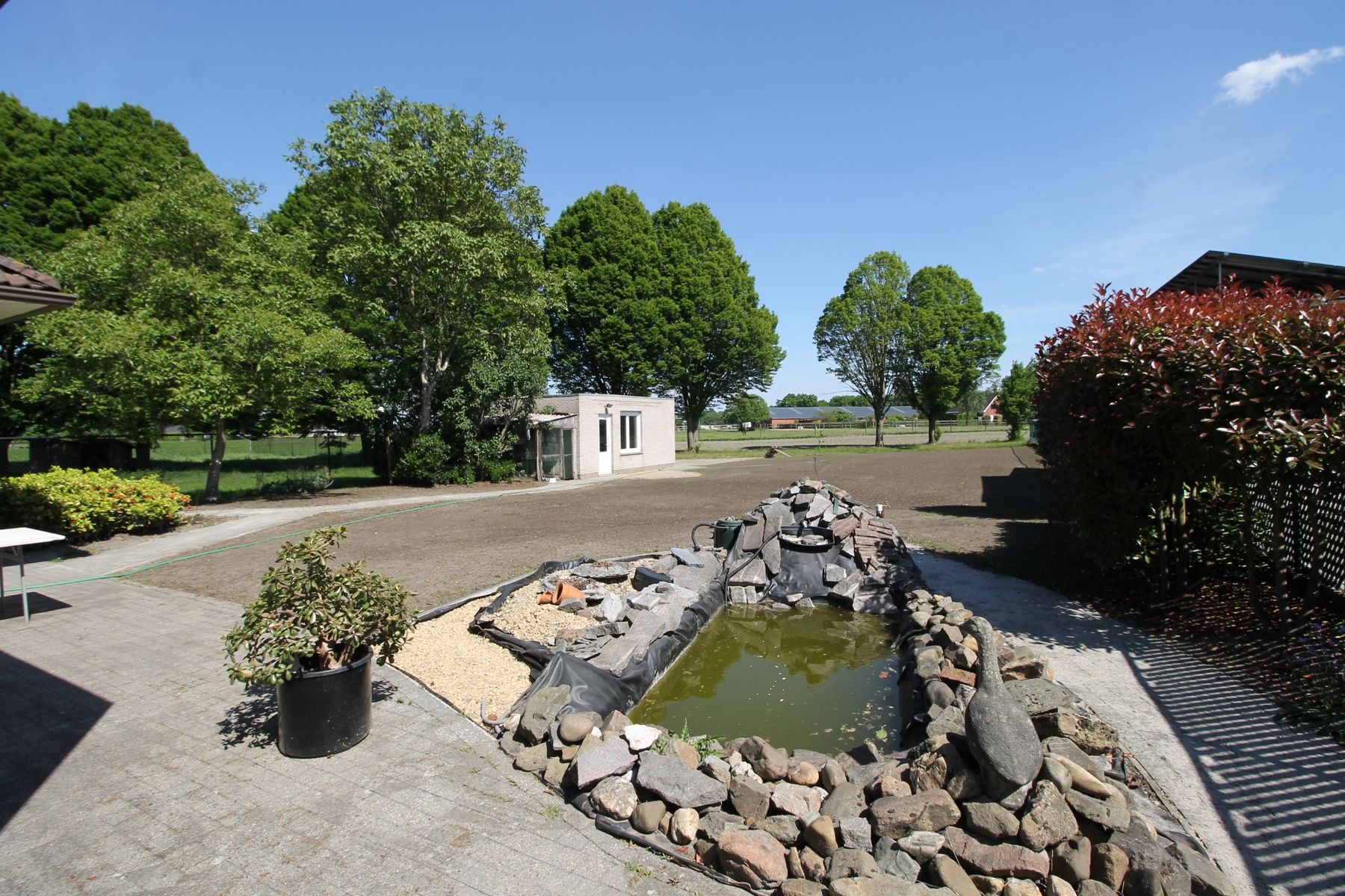 Energiezuinige laagbouwwoning met 3 slaapkamers en terras met tuin. foto 19