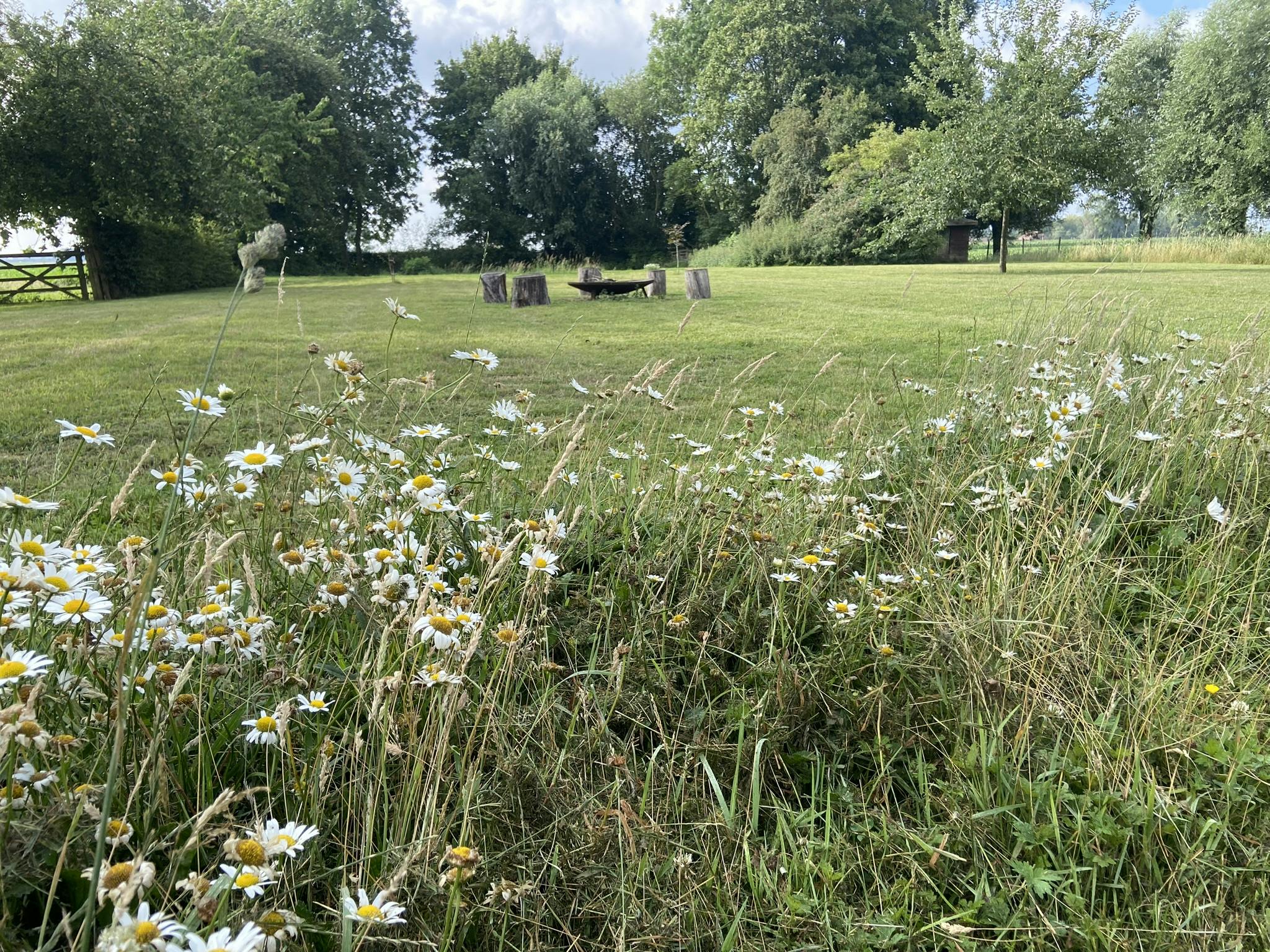 Exclusief landhuis op +/- 8000 m²: de synthese van rust en ruimte foto 39