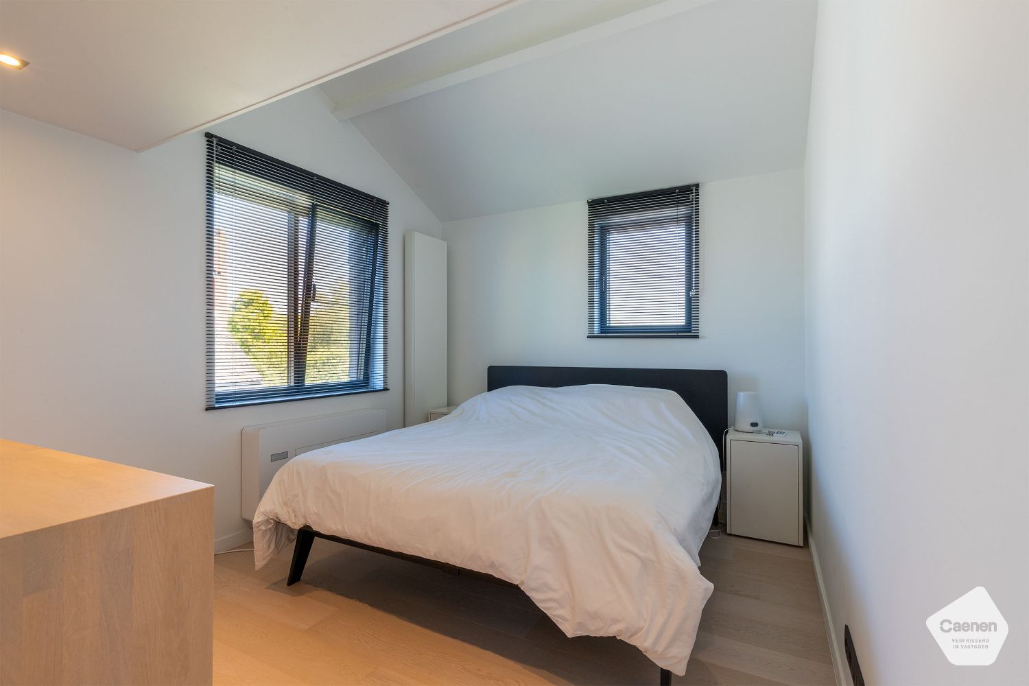 VRIJSTAANDE VILLA met PRAKTIJKRUIMTE, 3 slaapkamers en ONDERHOUDSVRIENDELIJKE TUIN. foto 11