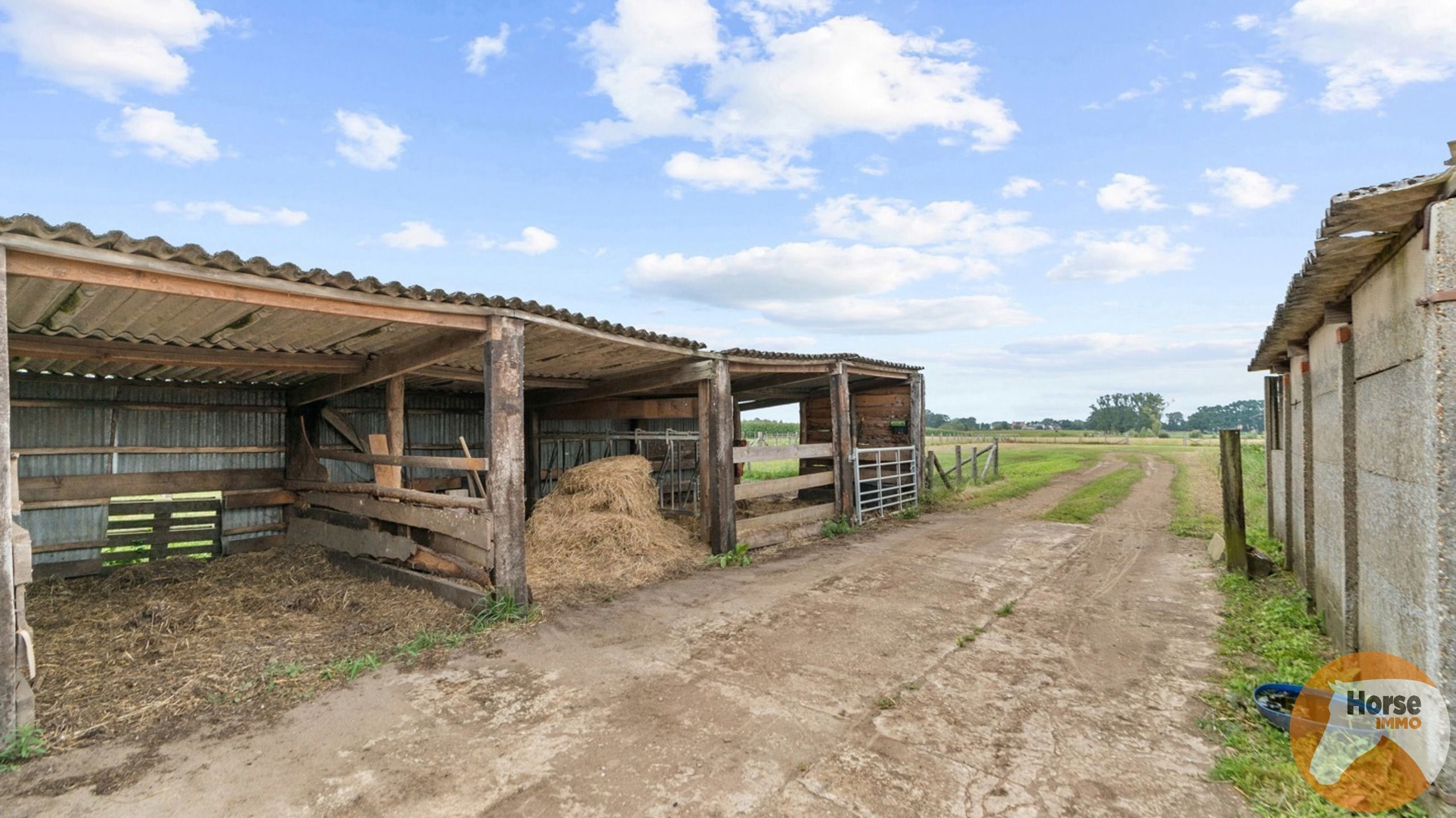 HEIST-OP-DEN-BERG - Te renoveren landbouwwoning met loods op 2,3 Ha foto 11