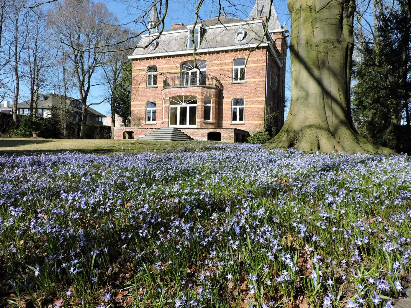 Kasteel  'Ten Dyckbos' op  56a 15ca foto 29