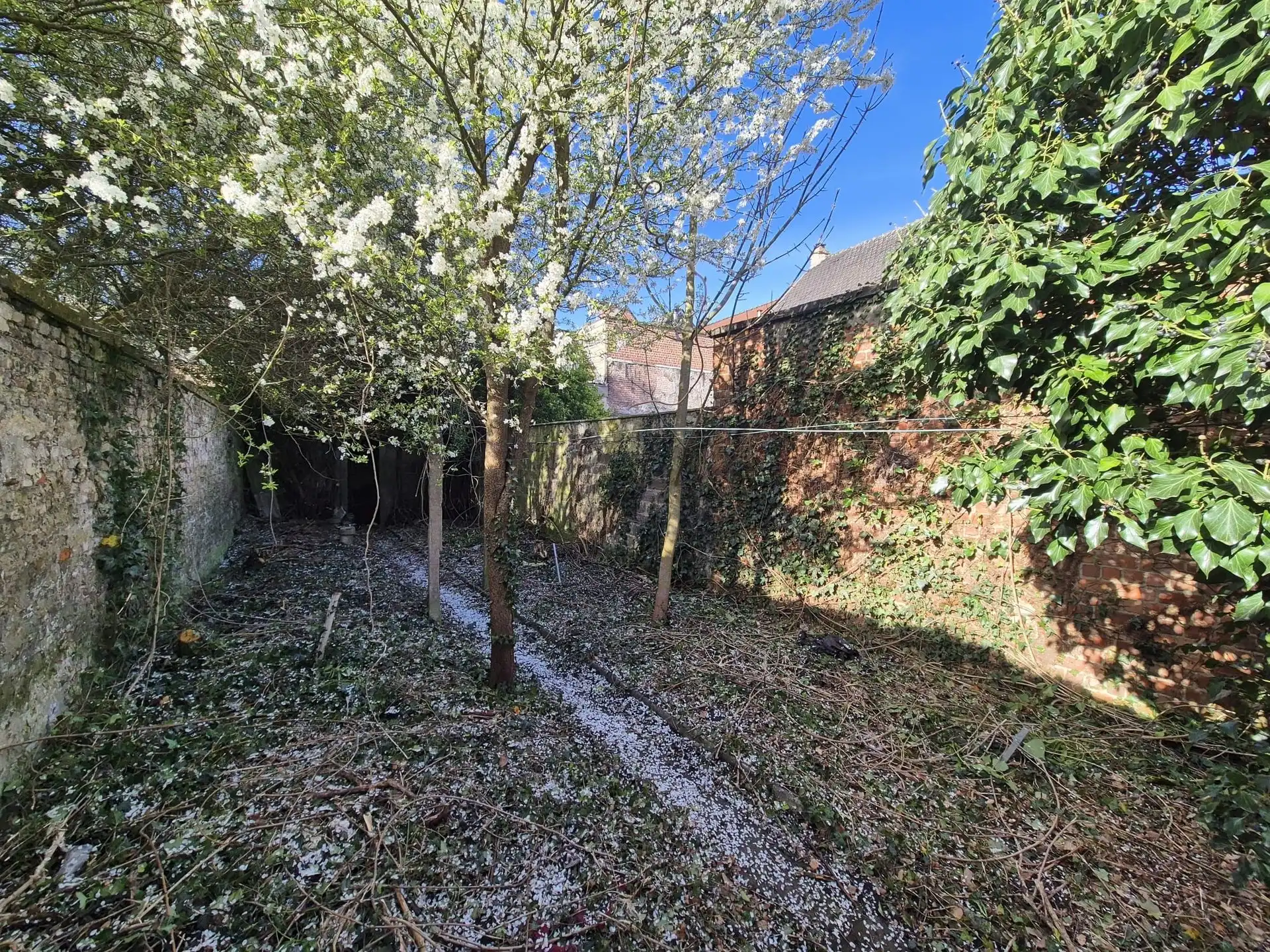 Gunstig gelegen kantoor op toplocatie centrum Melle. foto 19