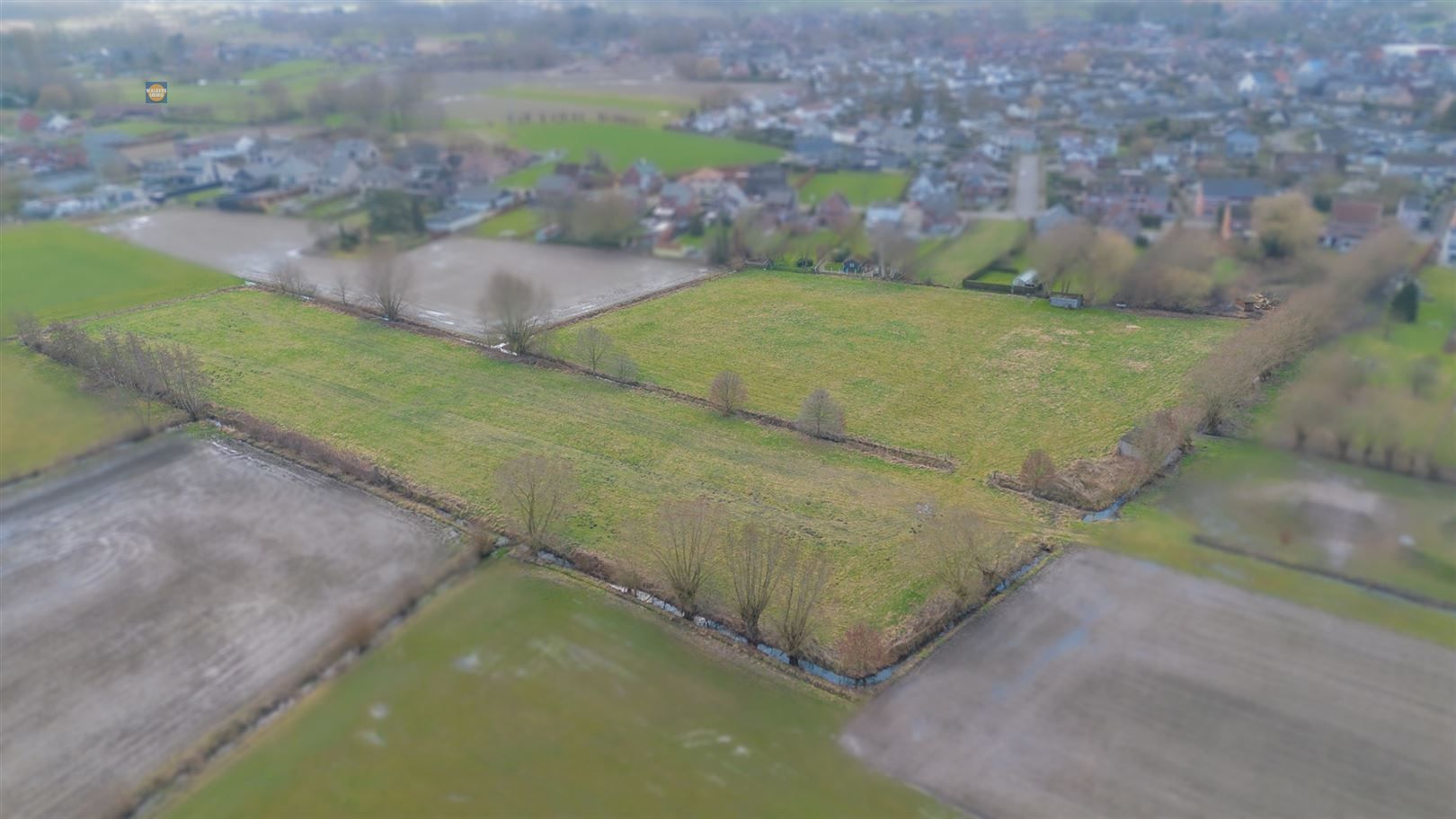 Twee prachtige percelen landbouwgrond in Sint-Amands foto 4