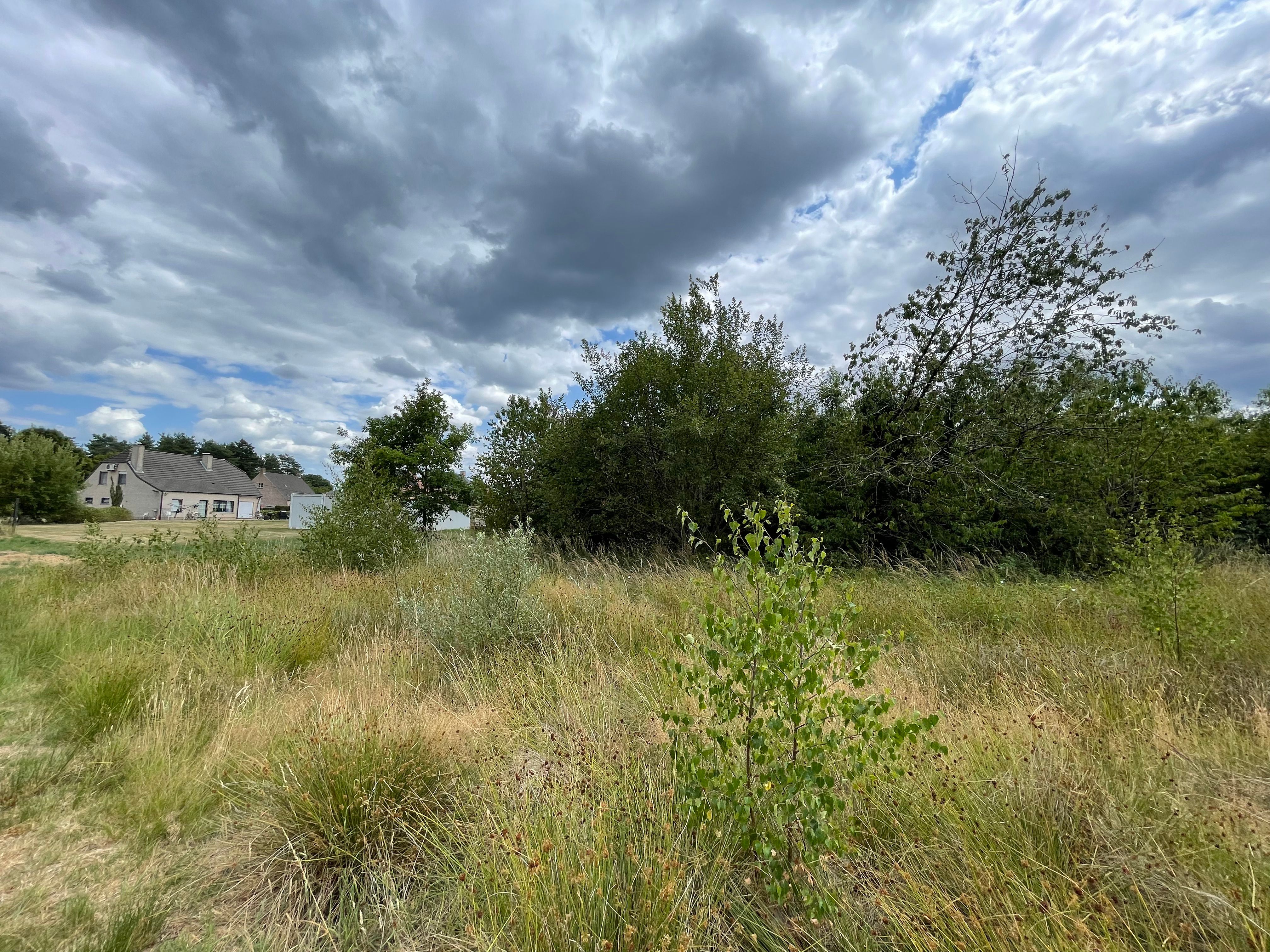Ruime hoeve met bijgeb. 3255m² foto 10