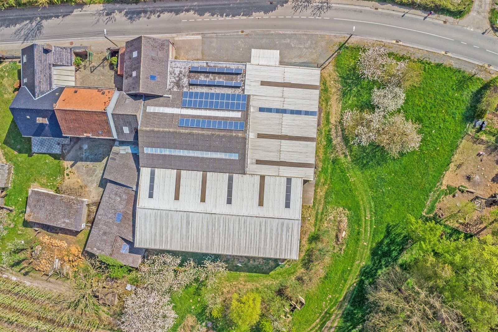 Te renoveren woning met schuur en loodsen  foto 5
