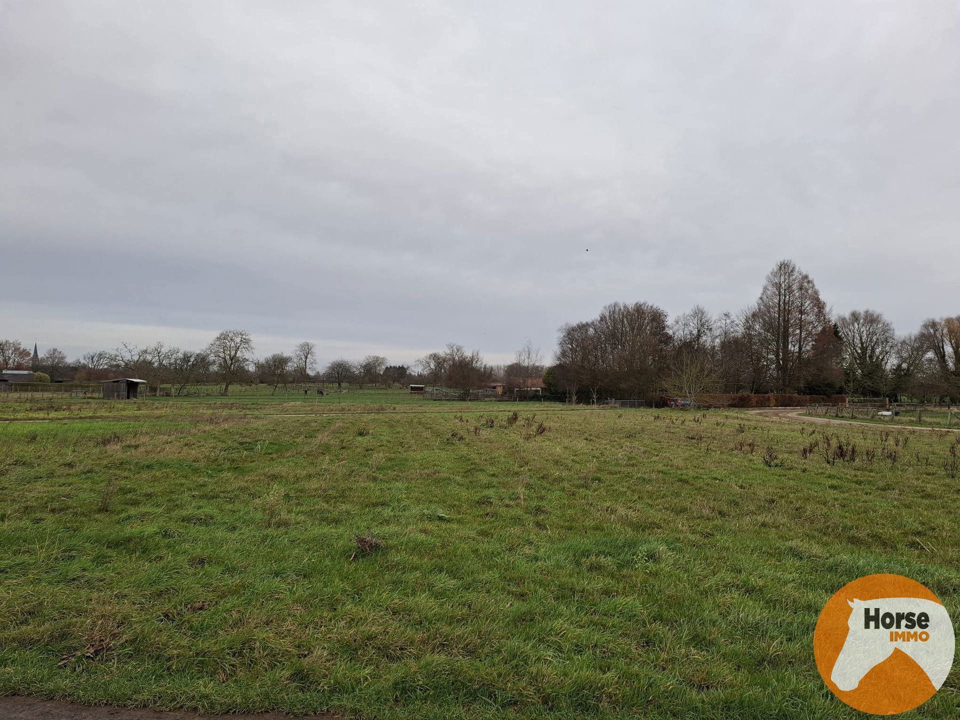 HAALTERT– Perceel weiland van 35a 76ca foto 6