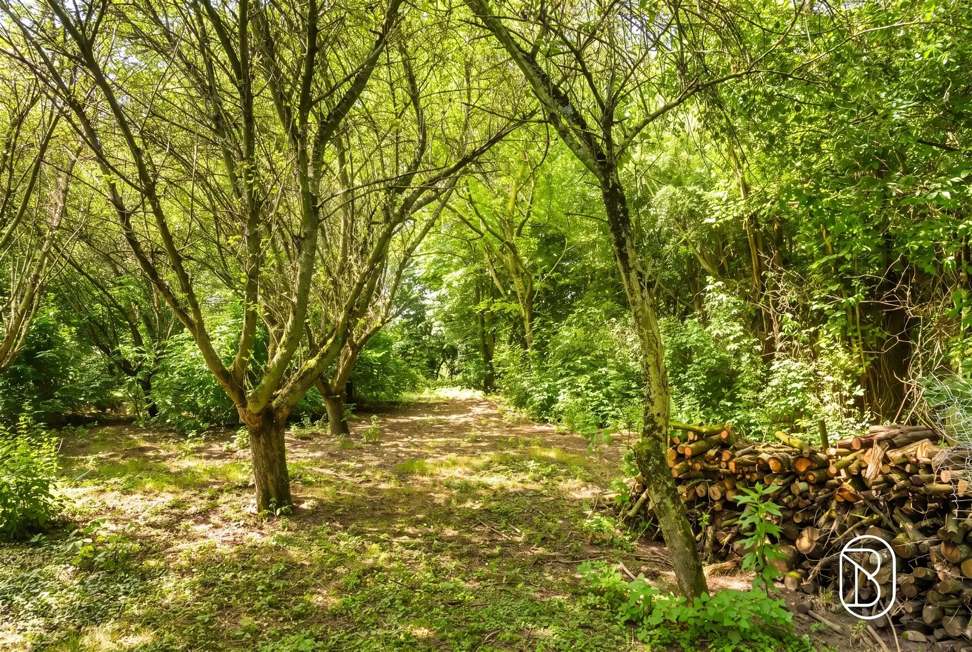 Uitzonderlijke af te werken villa woning op 5.600 m² foto 8