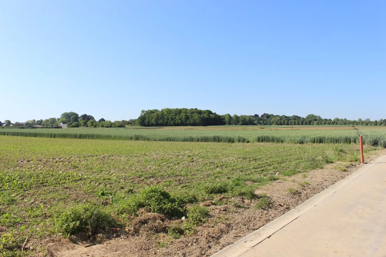 Uniek perceel bouwgrond voor halfopen bebouwing. foto 3