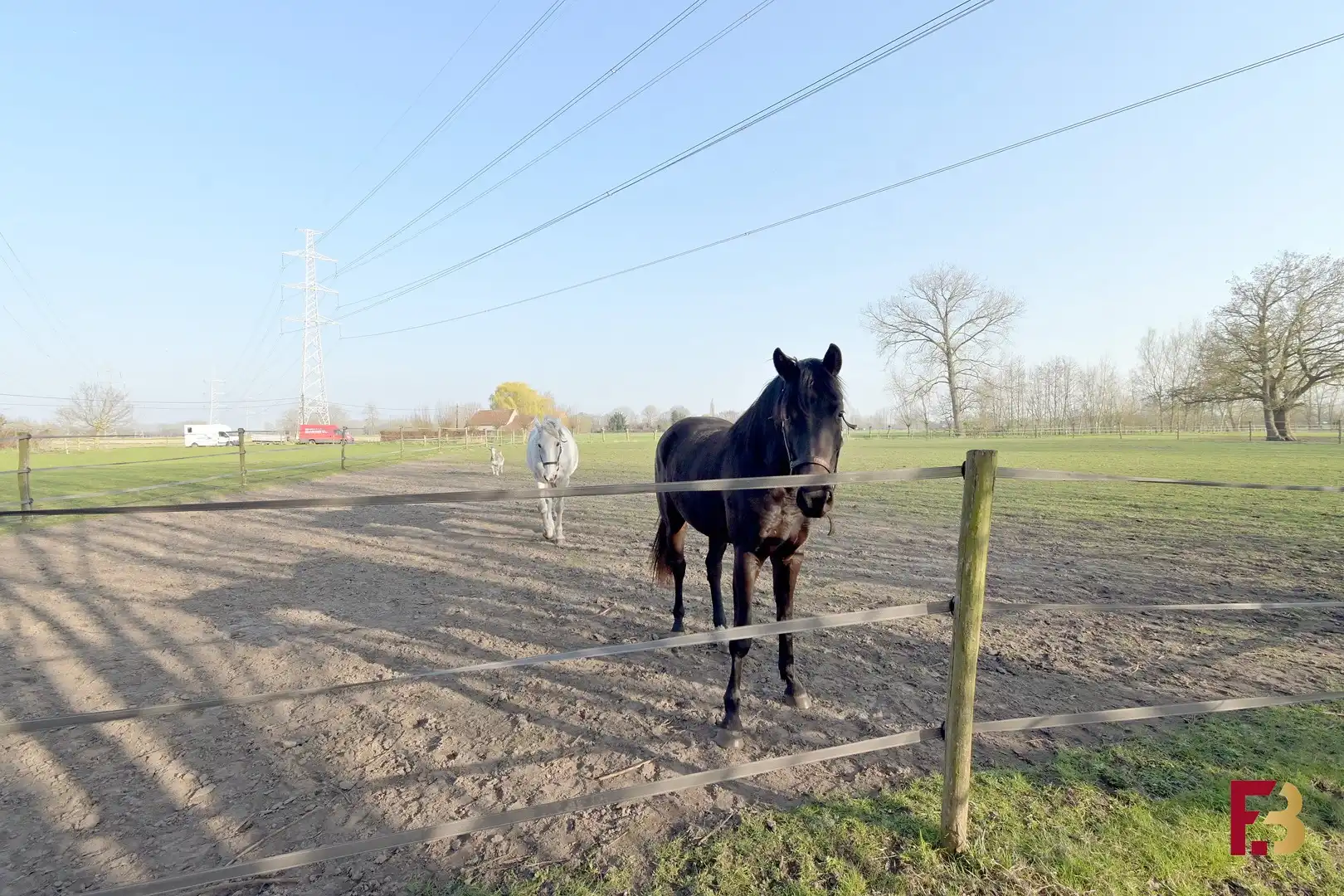 Woning met stallen op circa 1,9ha in het groene Lokeren foto 22