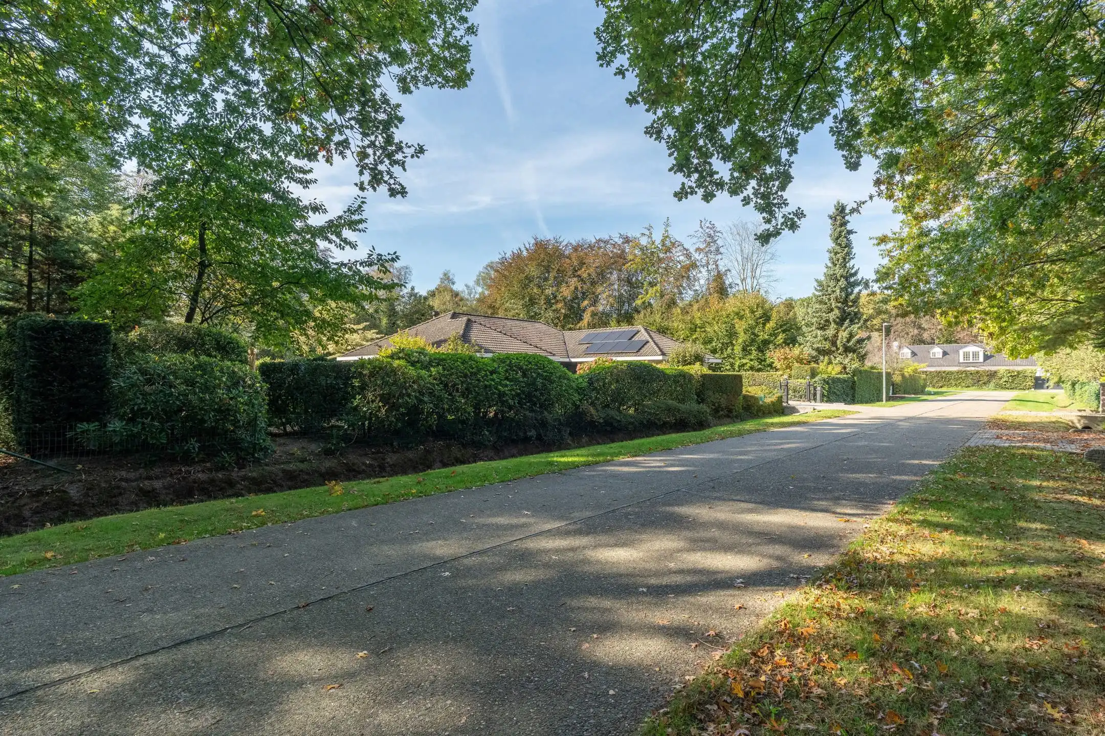 Instapklare gelijkvloersvilla met unieke parktuin op 2.086 m²  foto 60