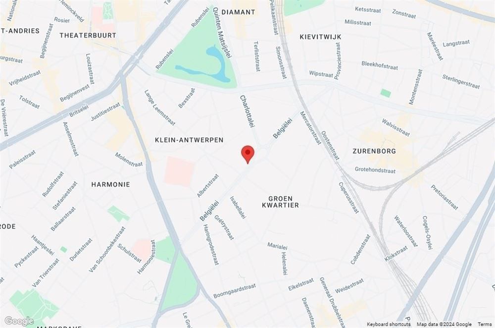 Binnenstaanplaats te Antwerpen-Centrum foto 4