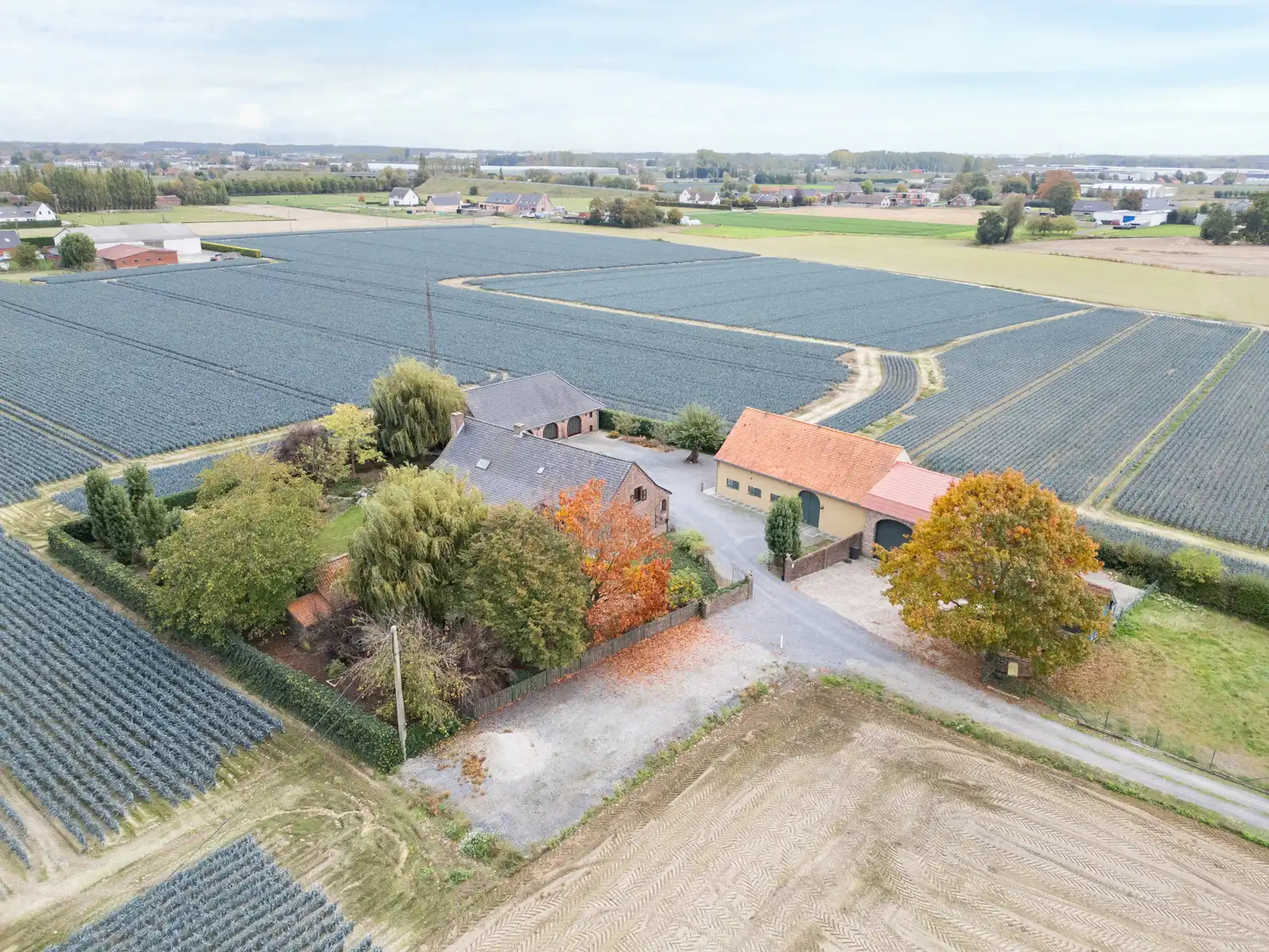 Landhuis met 2 magazijnen, rustig gelegen op 5.388 m² foto 38
