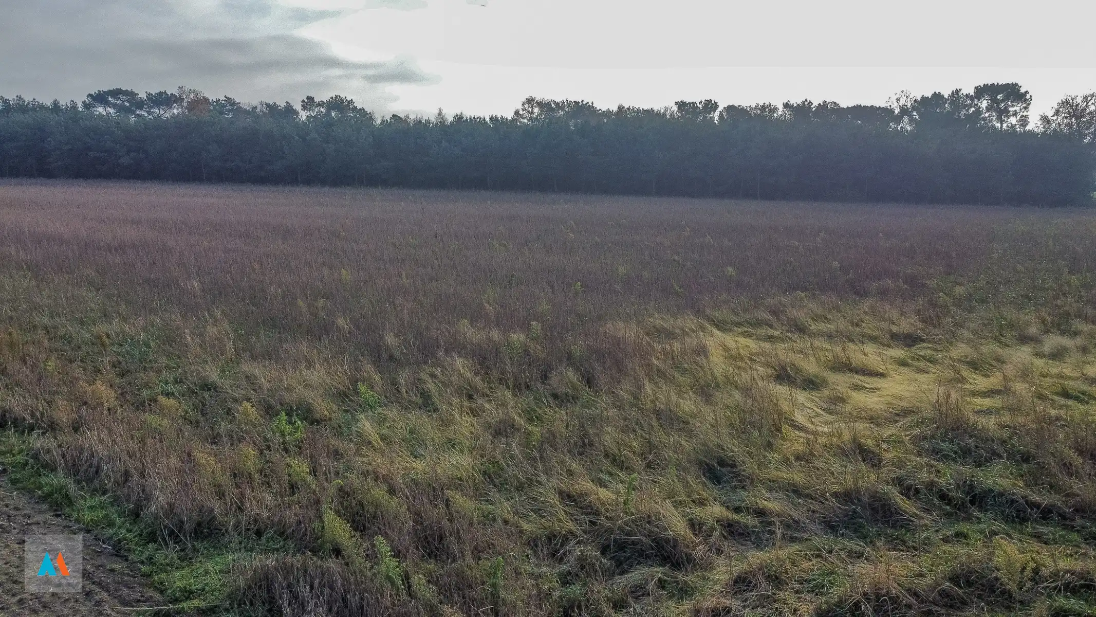 Gemengd perceel Landbouw- en bosgrond foto 8