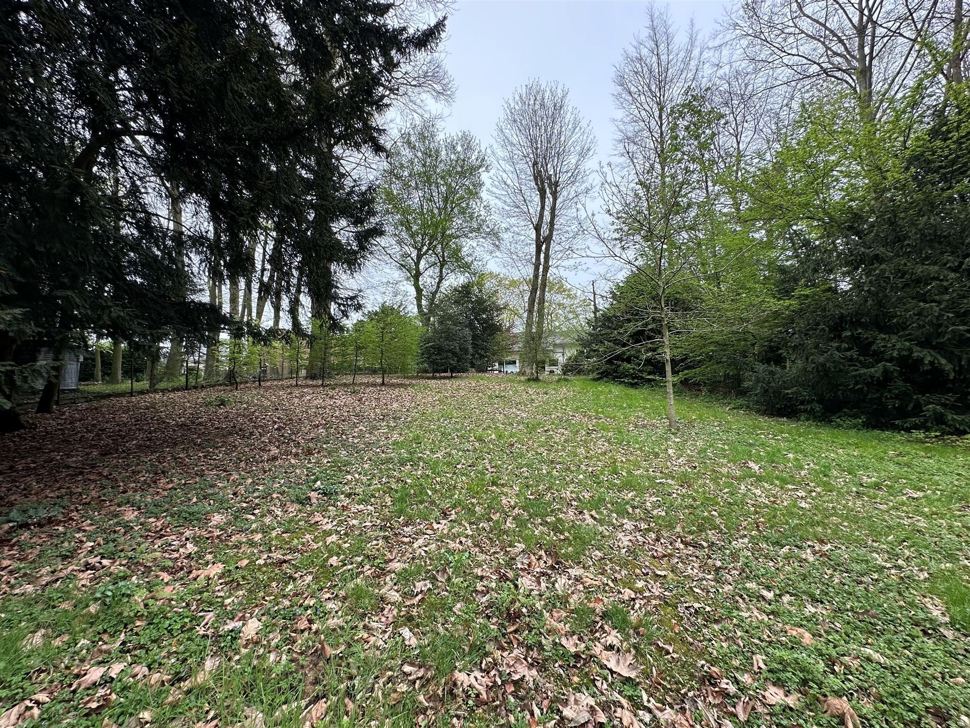 Karaktervolle villa op royaal perceel te Wortegem-Petegem foto 8