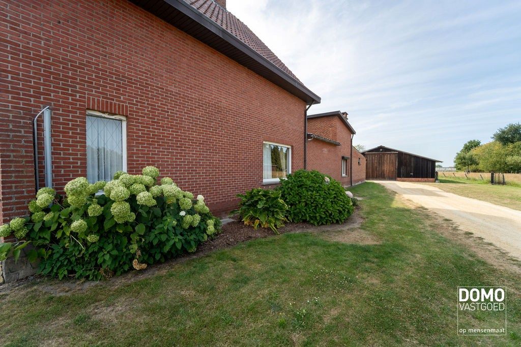 Te renoveren woning met grote tuin en achterliggende stal  foto 19
