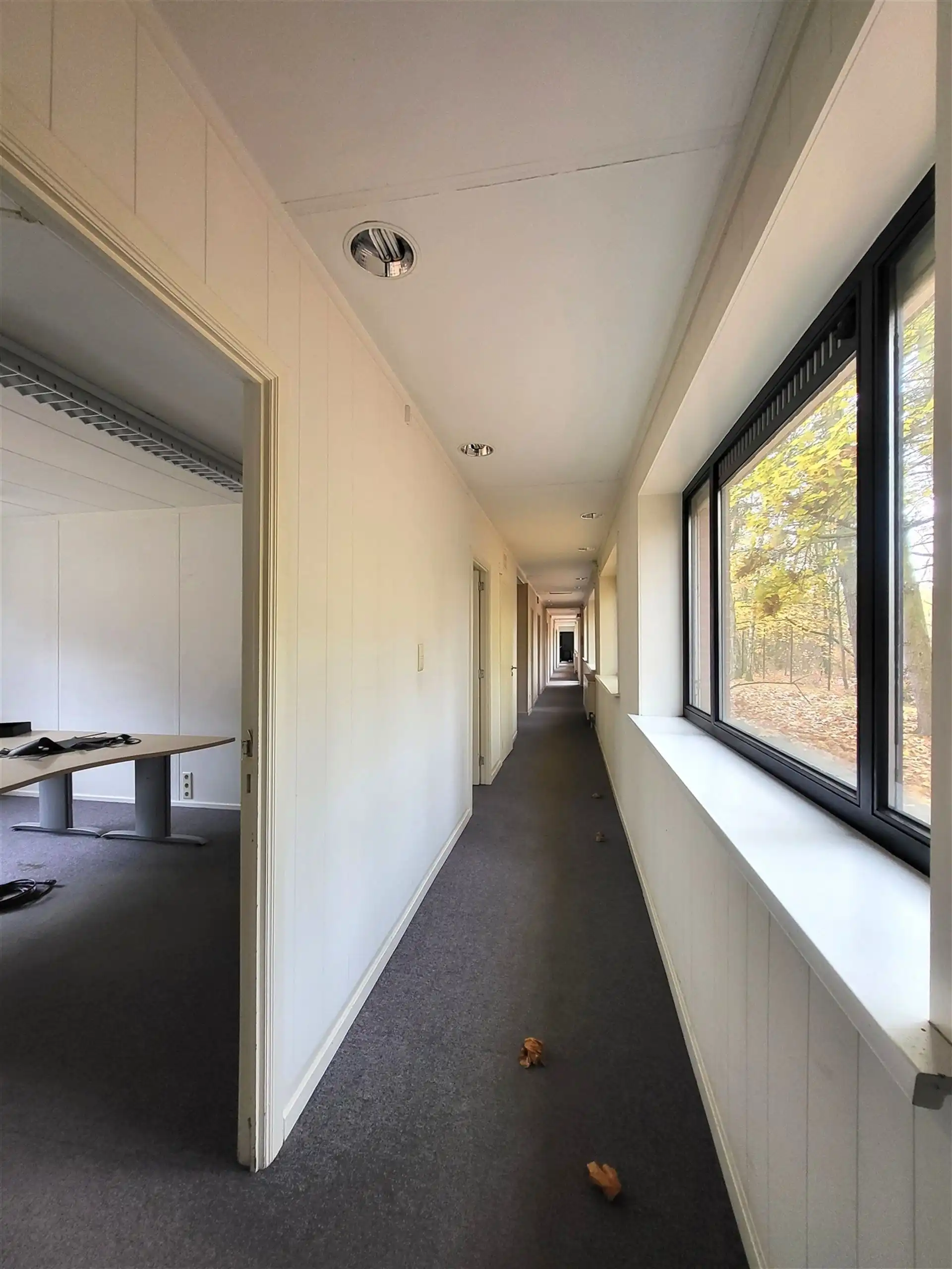 Villa met professionele opslagruimte, kelder en kantoorruimtes. foto 23